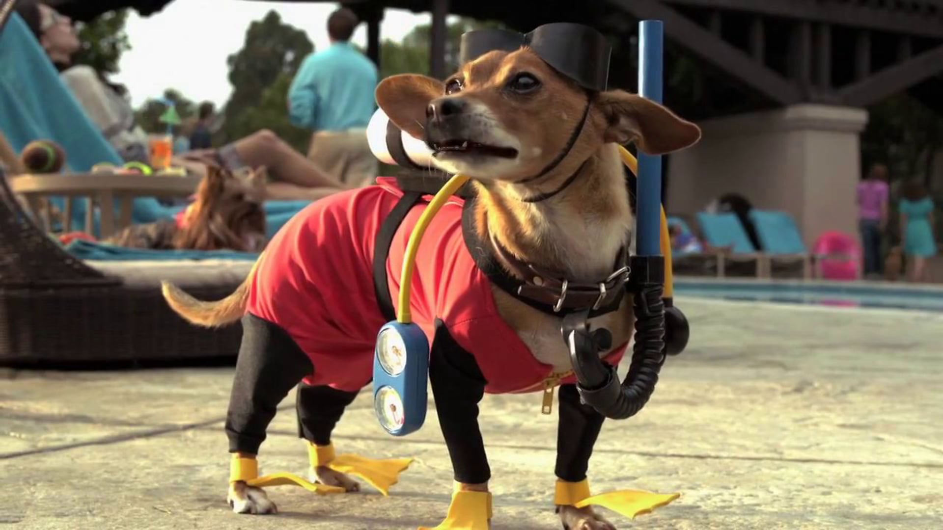Beverly Hills Chihuahua 3