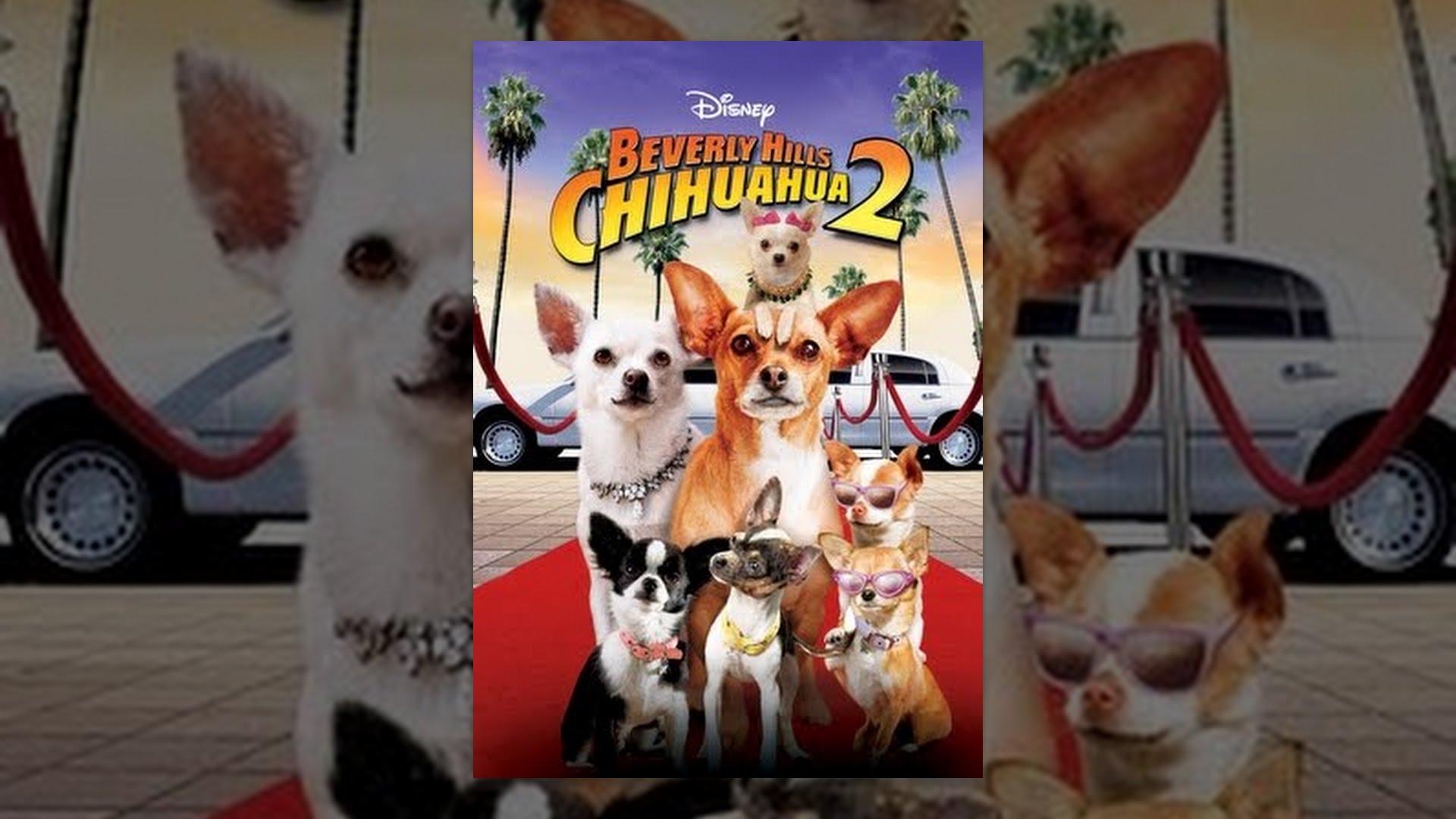 Beverly Hills Chihuahua 2