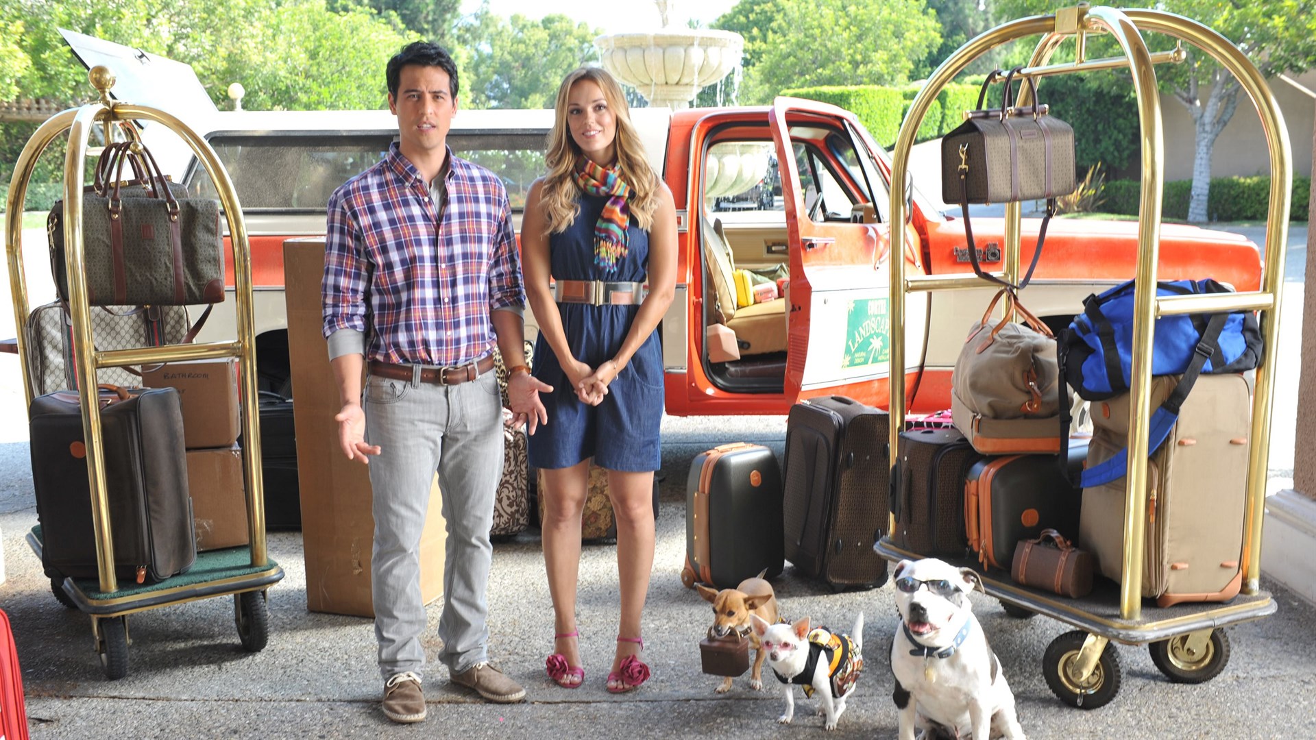 Buy Beverly Hills Chihuahua 3: Viva La Fiesta! Store En GB