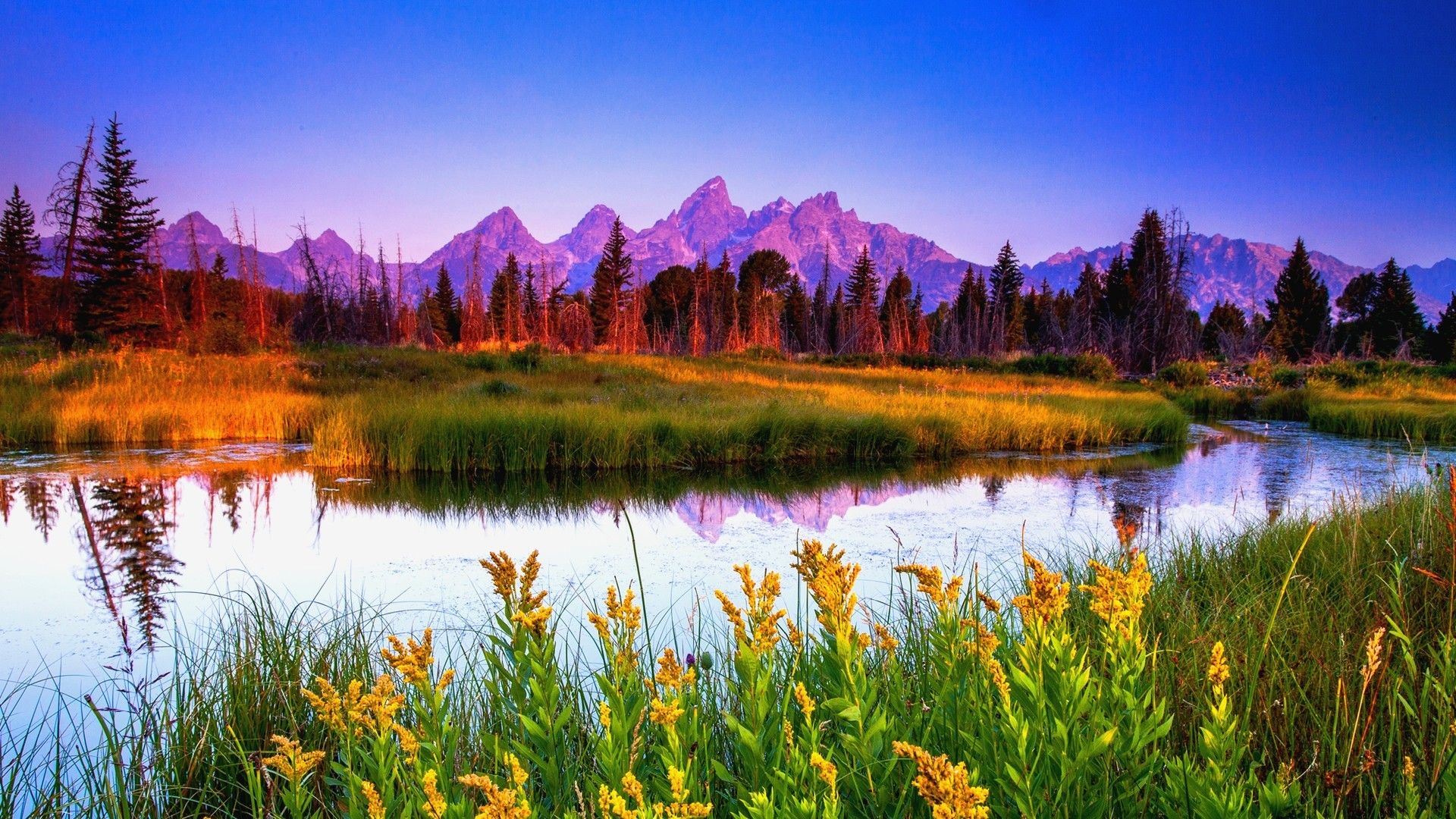 Summer Mountain Wallpaper Free Summer Mountain Background