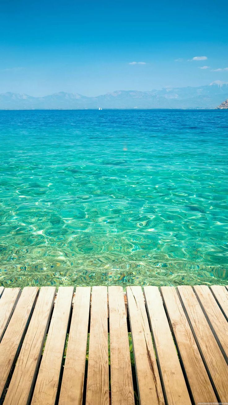 Clear Tropical Ocean Water Lockscreen #iPhone #plus #Wallpaper. Summer wallpaper, Summer background, Wallpaper iphone summer