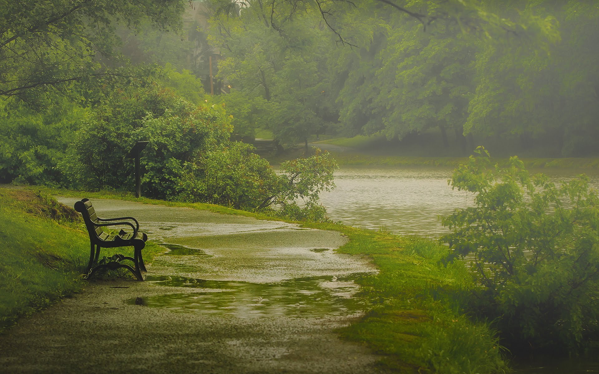 Calming Rain Wallpaper Free Calming Rain Background