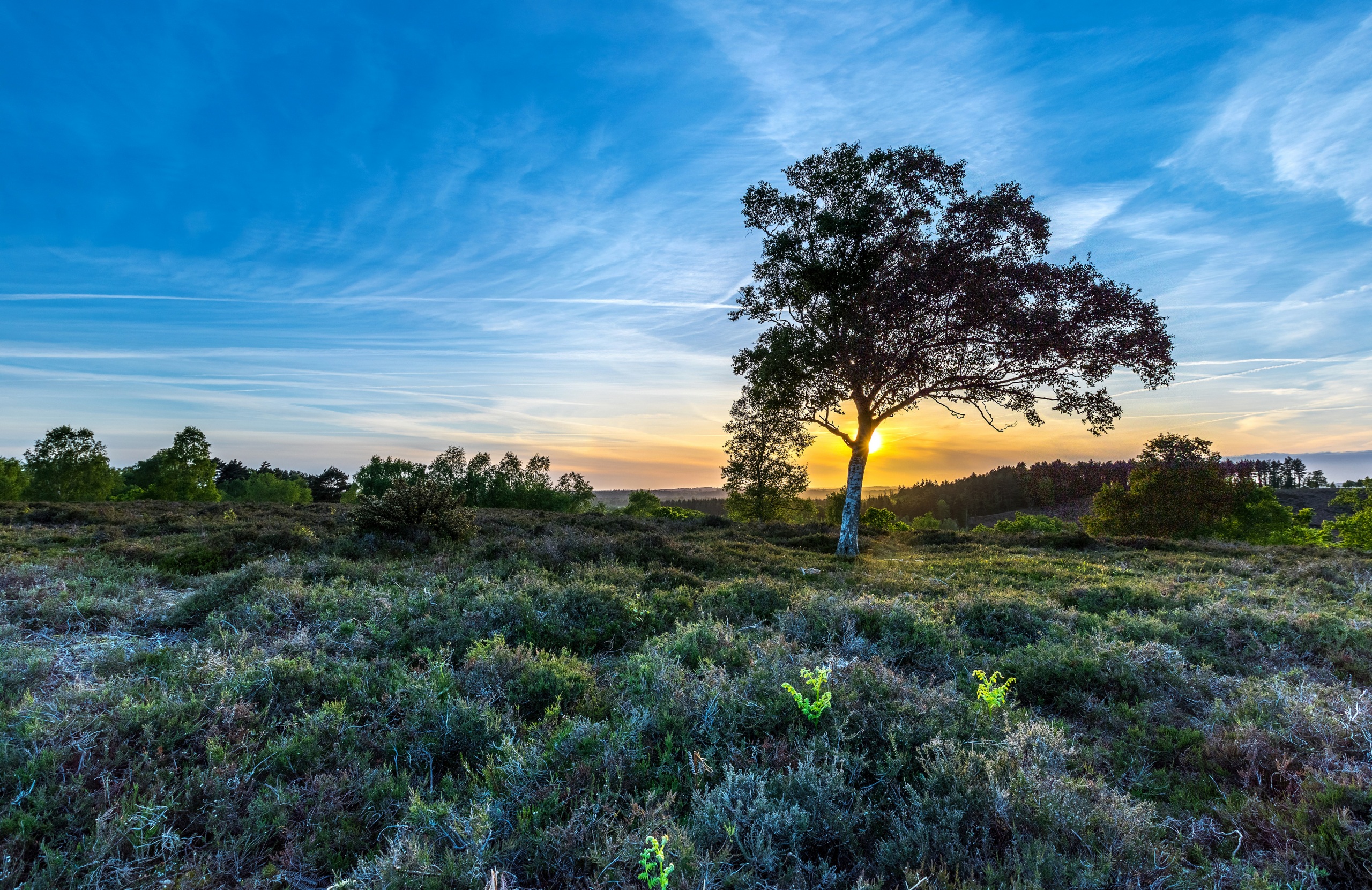 Wallpaper Highwood Nature Sky Sunrises and sunsets 2560x1660