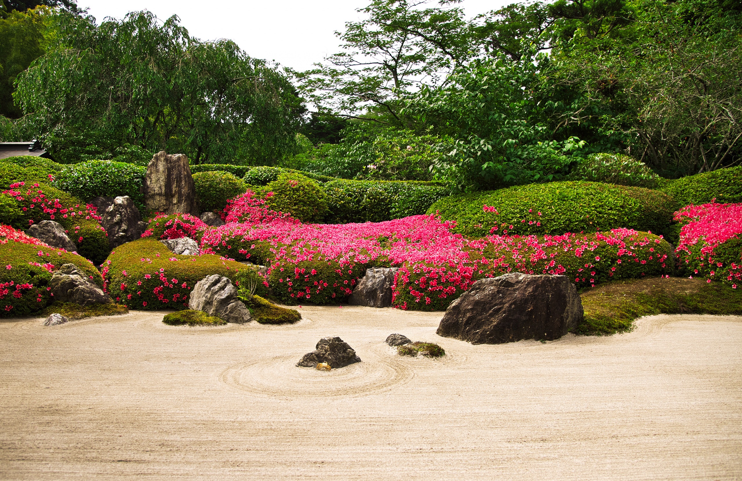 Image Kyoto Japan Karesansui Nature Gardens stone Shrubs 2560x1660