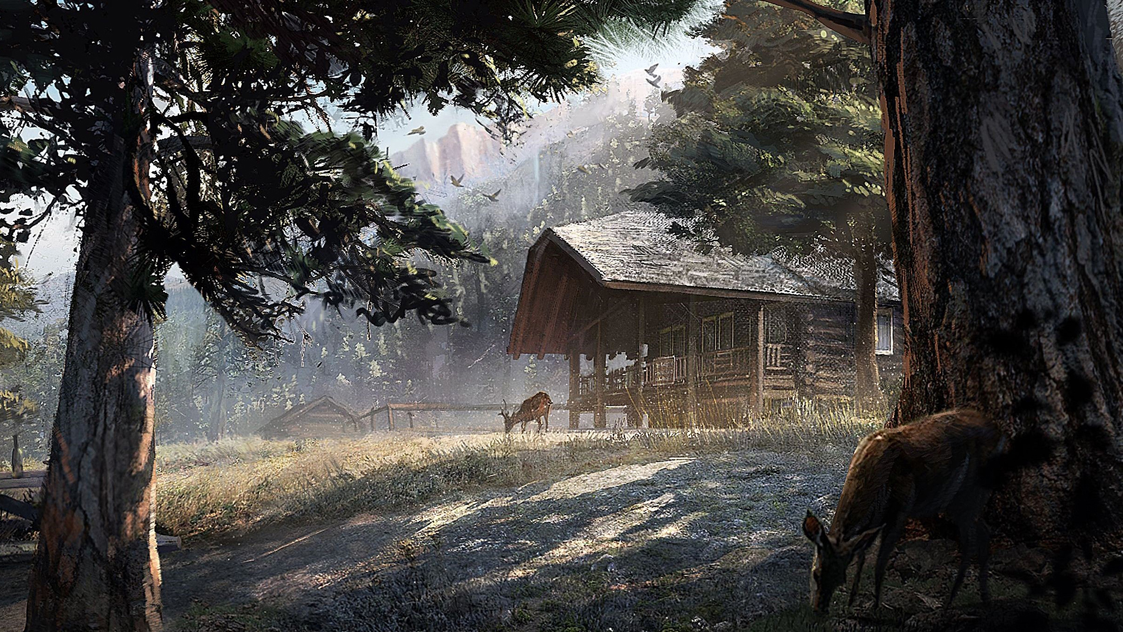 Far Cry 5 Cabin 4K