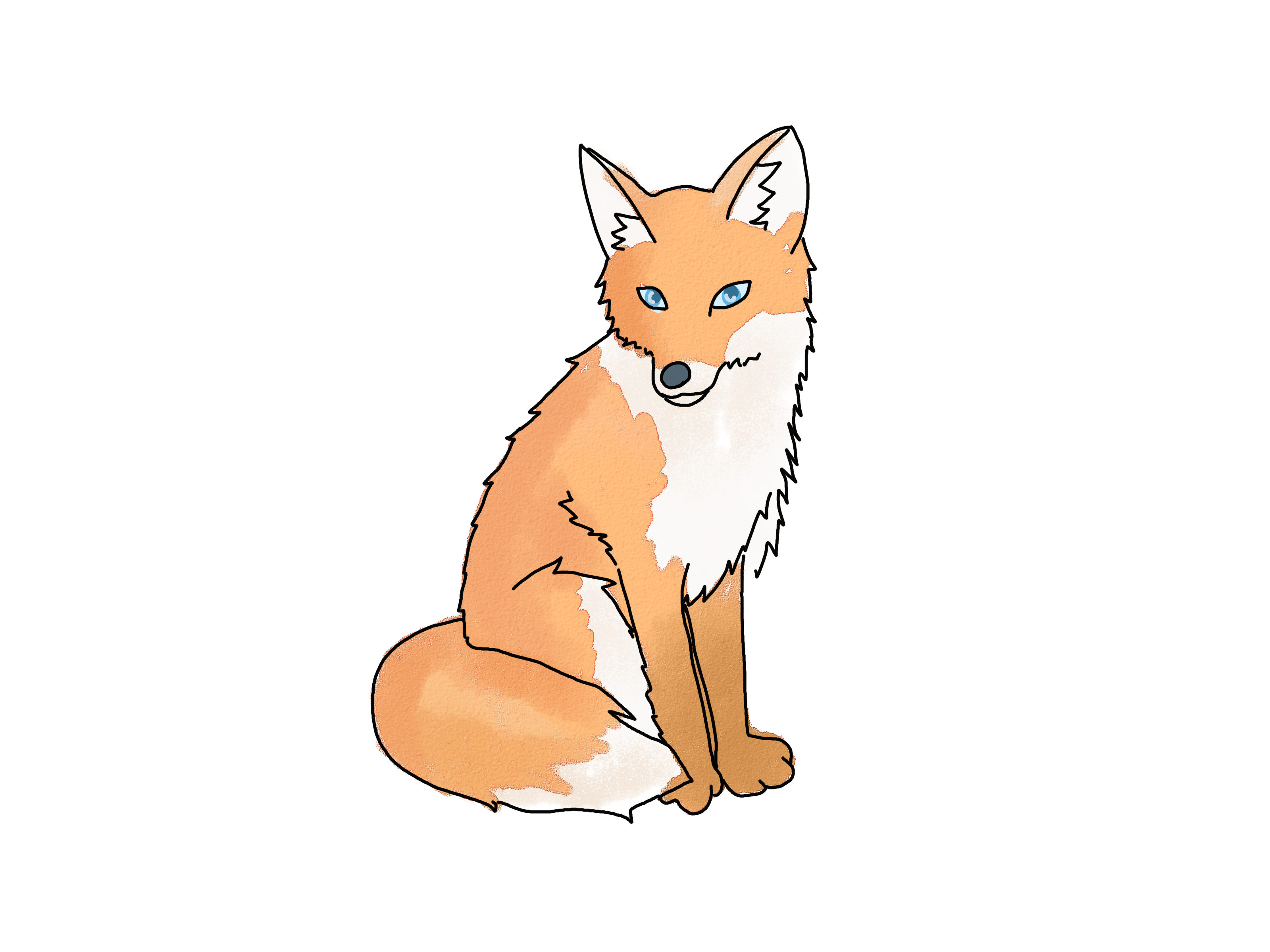 Fox. Cartoon fox drawing, Cute fox drawing, Fox drawing