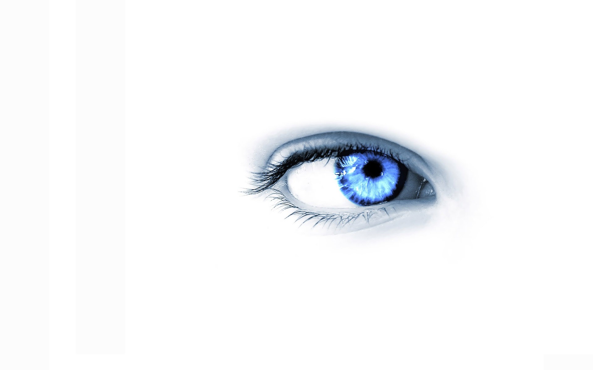 Wallpaper, eyes, glasses, violet, blue, eye, 1920x1200 px, human body, vision care, organ, eyelash, contact lens 1920x1200