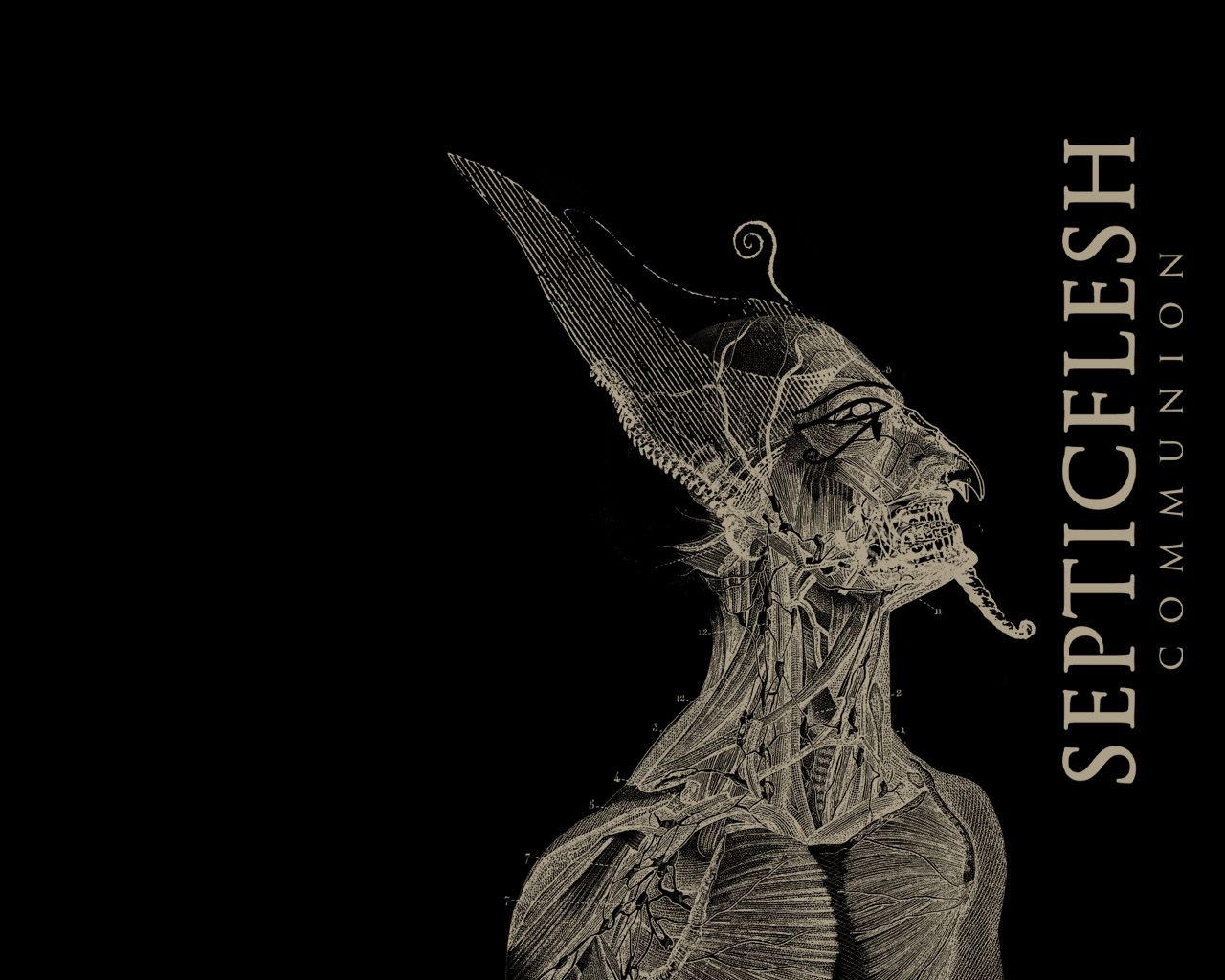 Septicflesh Wallpapers - Wallpaper Cave