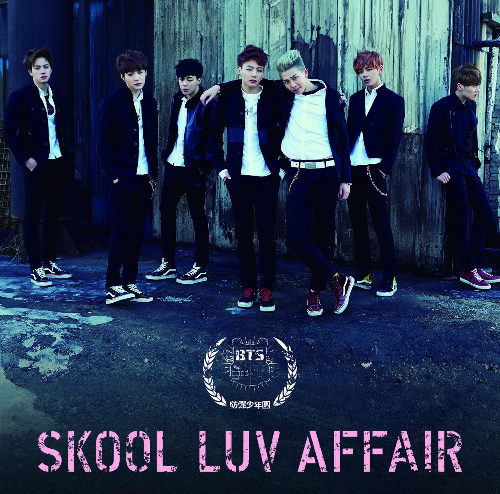 Skool Luv Affair