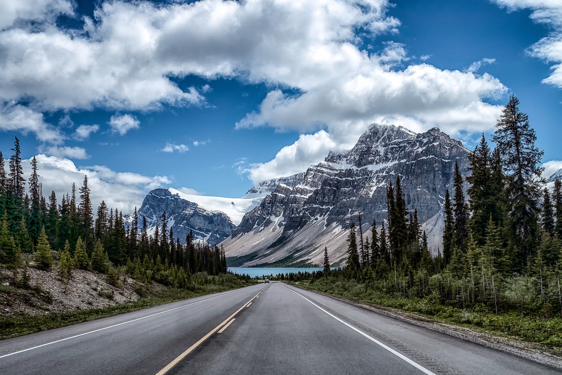 Mountain And Trees And Road