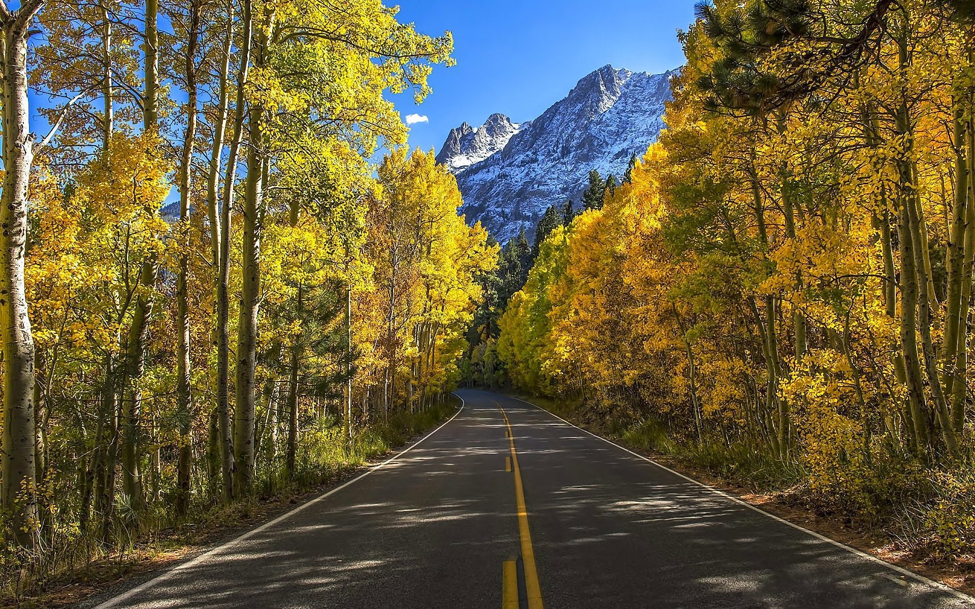 Autumn Trees Road Mountains wallpaper. Autumn Trees Road Mountains