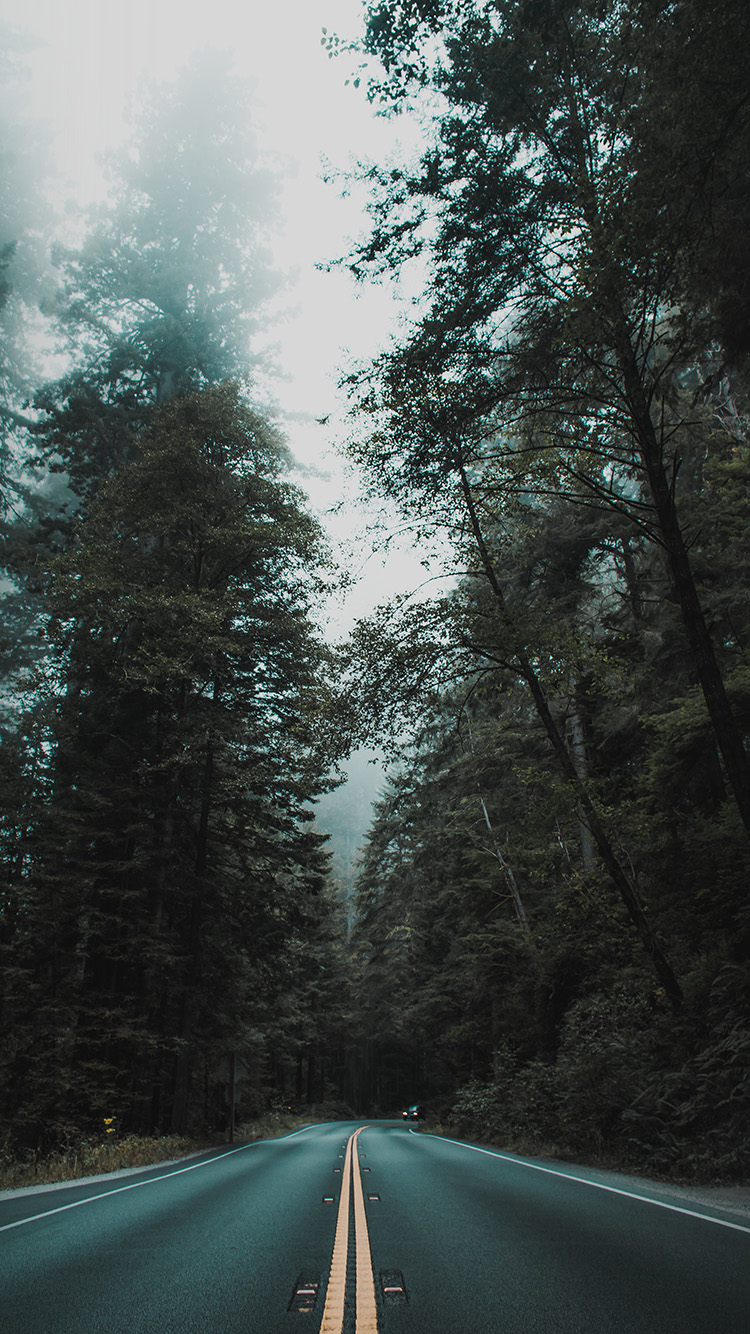 Street Mountain Road Tree Nature Wallpaper