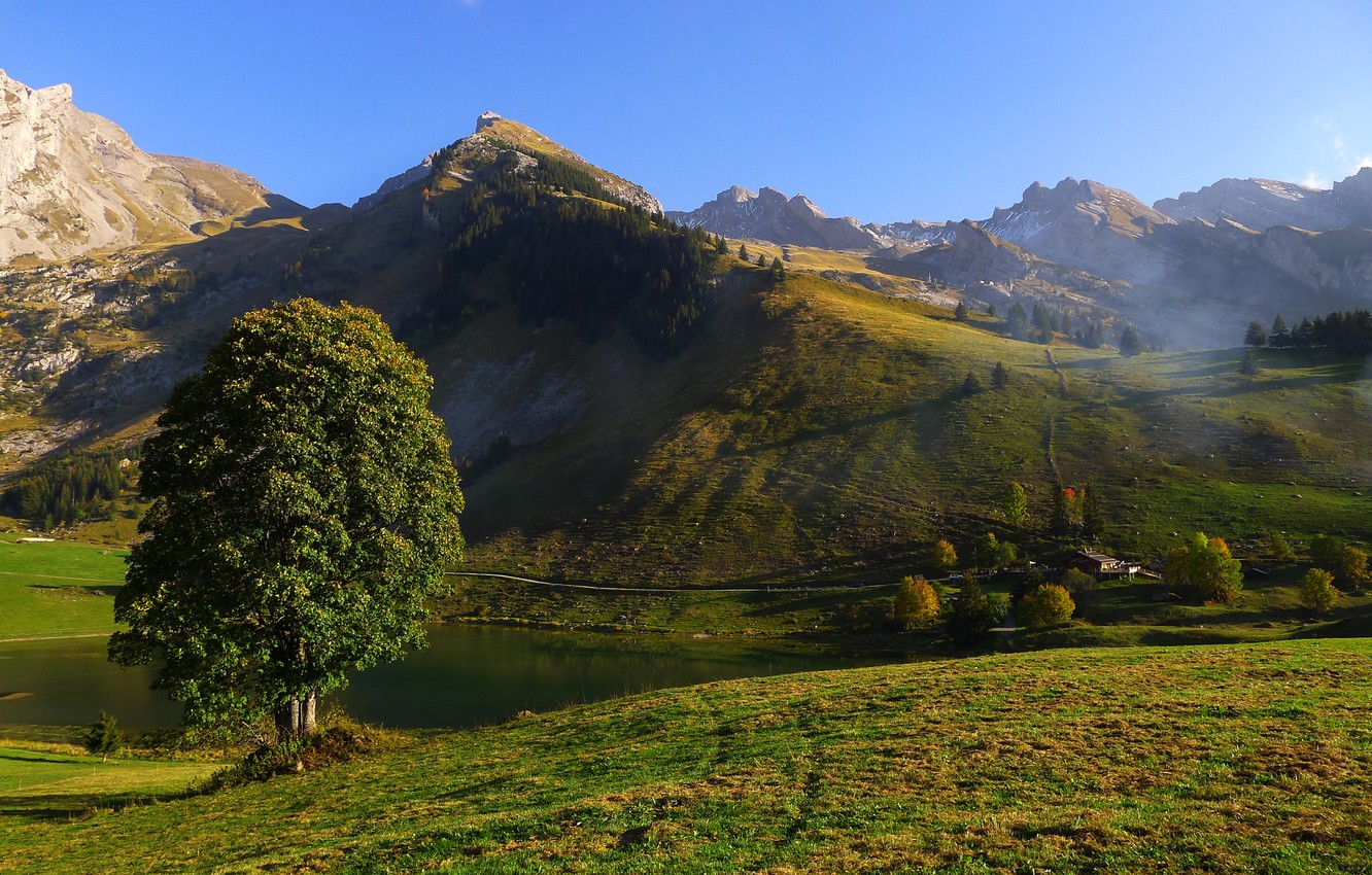Wallpaper the sky, grass, trees, mountains, lake, hills image for desktop, section пейзажи
