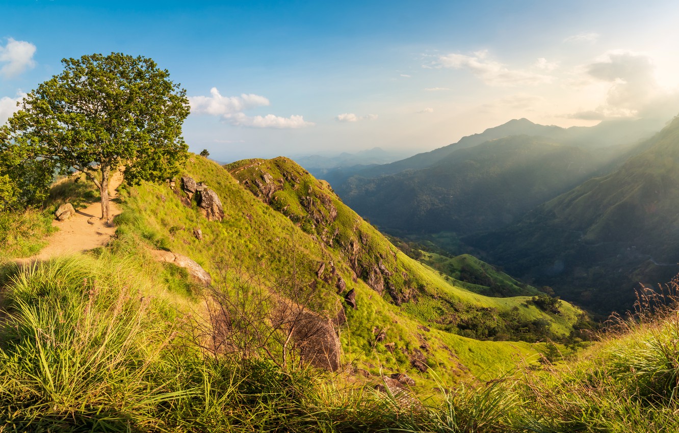 Wallpaper the sky, grass, the sun, clouds, trees, mountains, stones, island, height, slope, hill, Republic, Sri Lanka image for desktop, section пейзажи