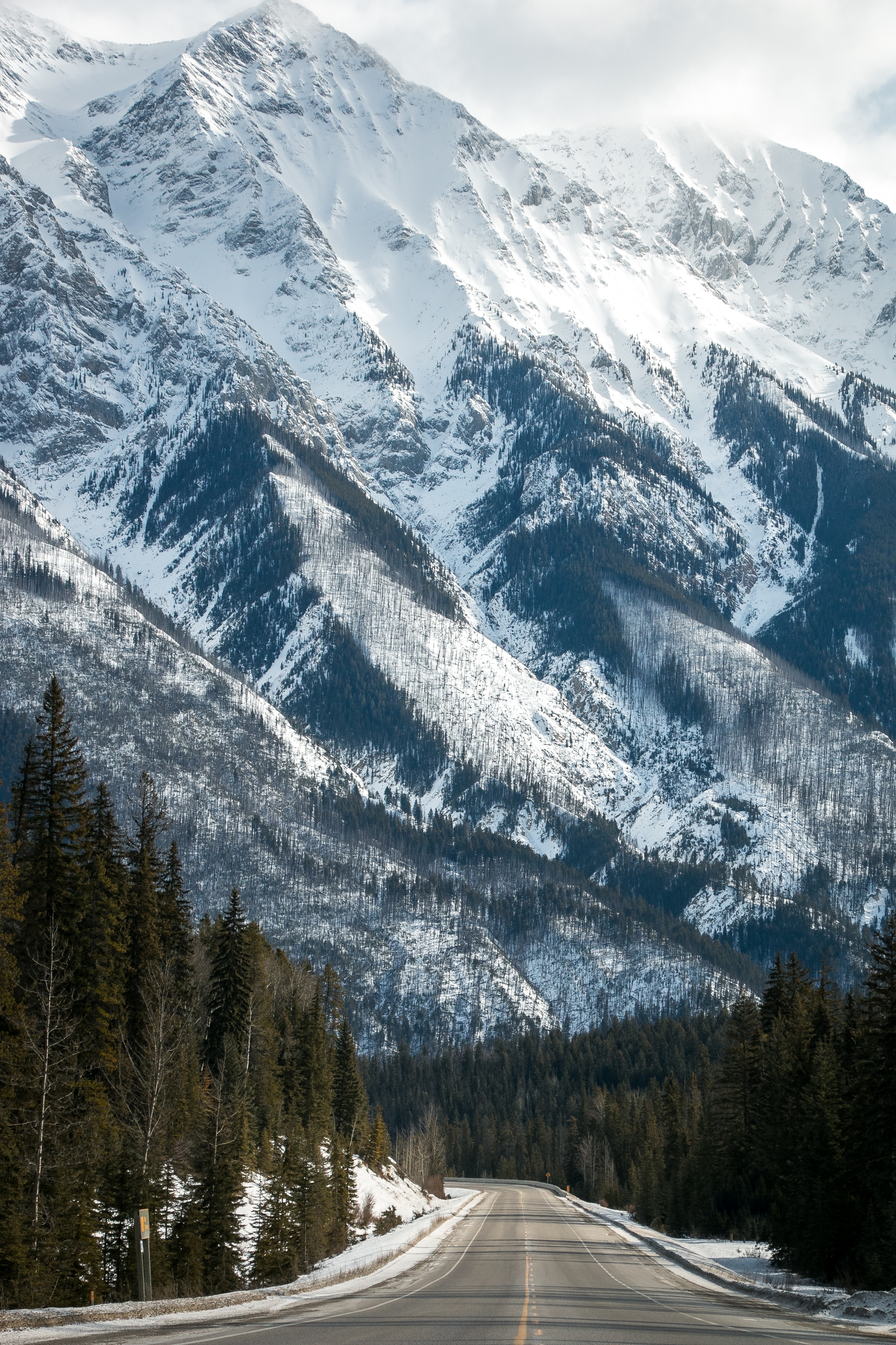 #nature, #trees, #snow, #road, #mountains, wallpaper. Mocah HD Wallpaper