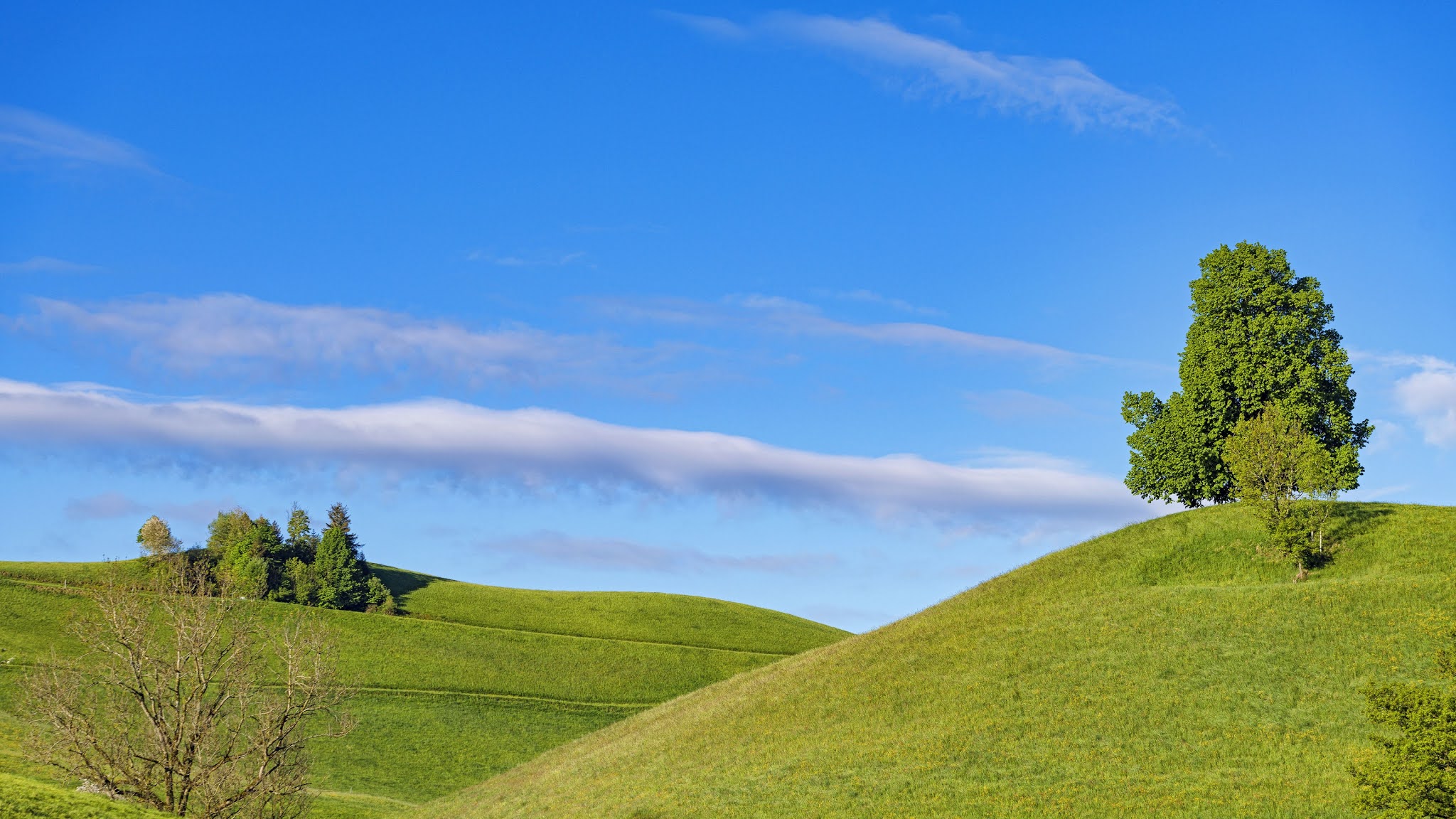 Wallpaper Blue Sky, Hills, Trees, Grass