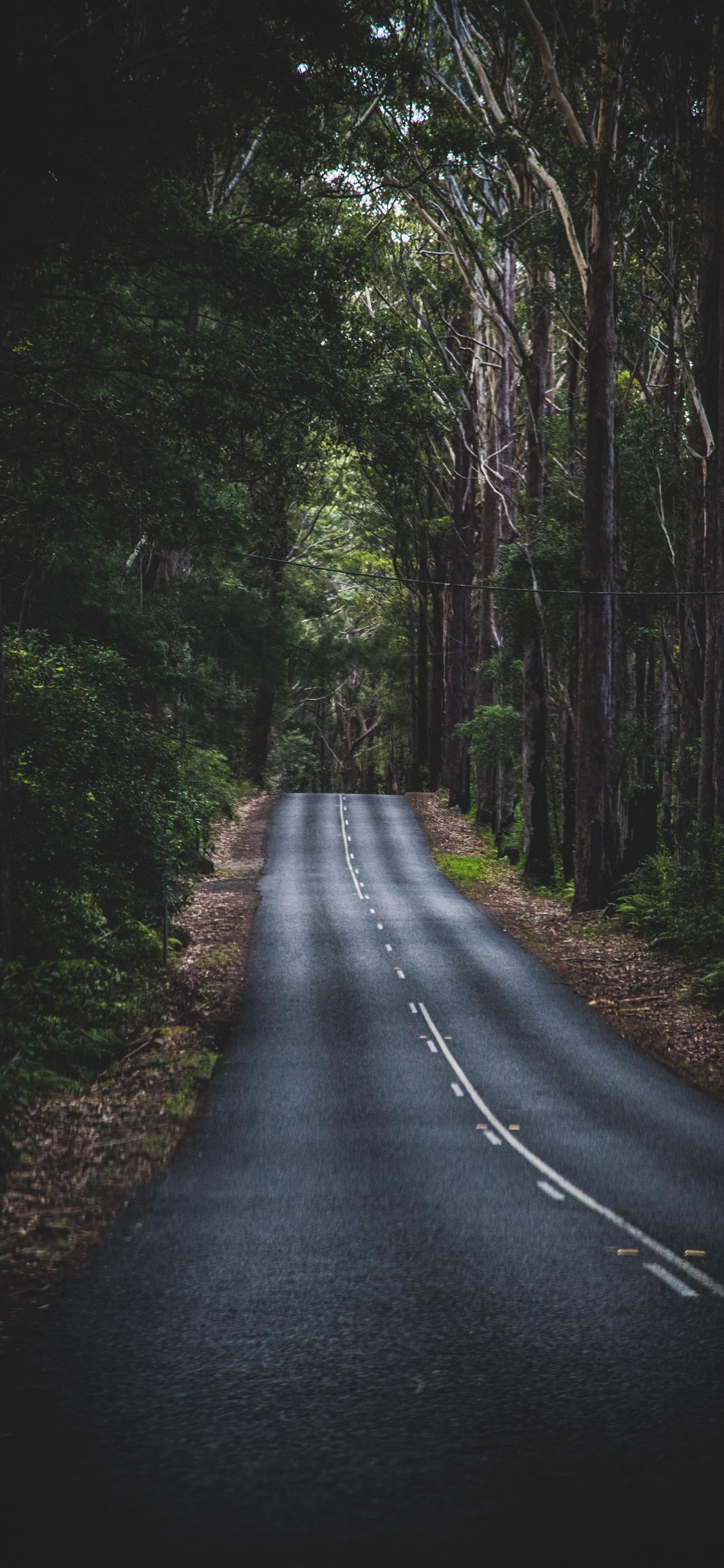 Mountain Road Wallpaper