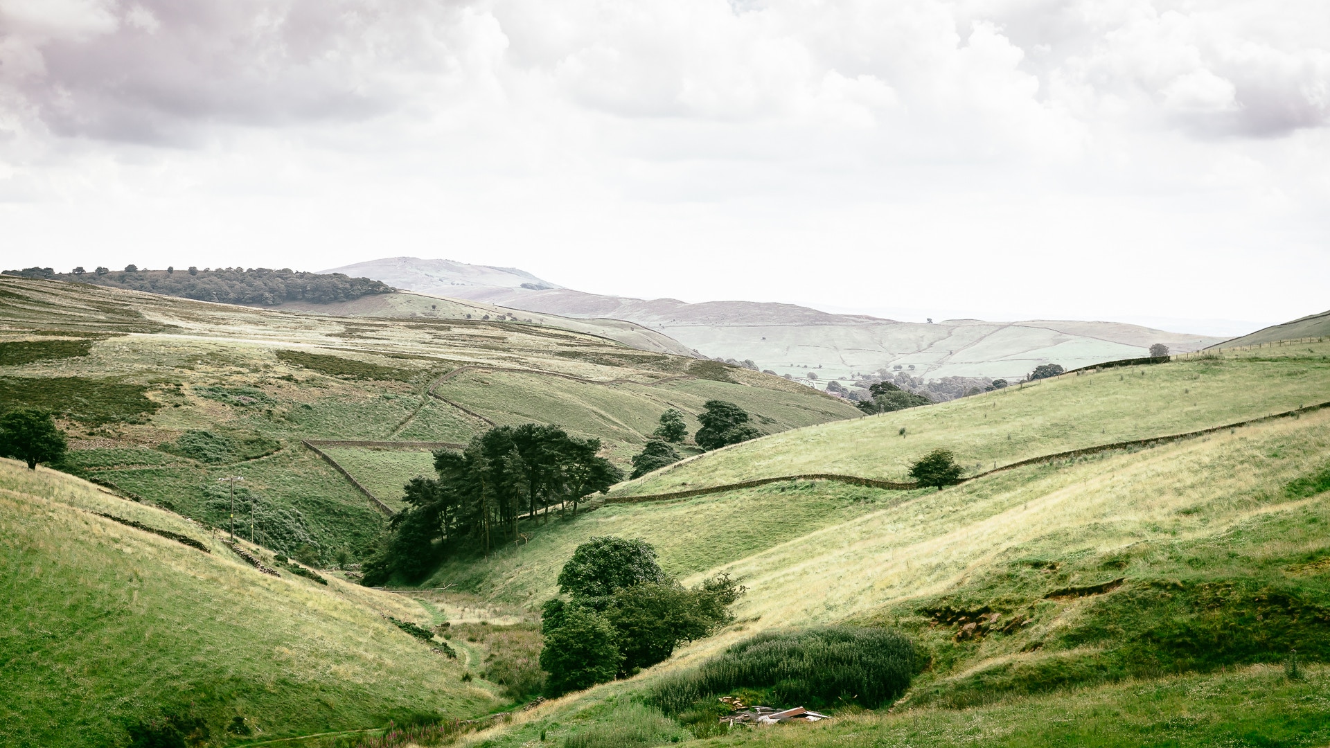 trees-grass-hills-valley-and-sky-wallpapers-wallpaper-cave