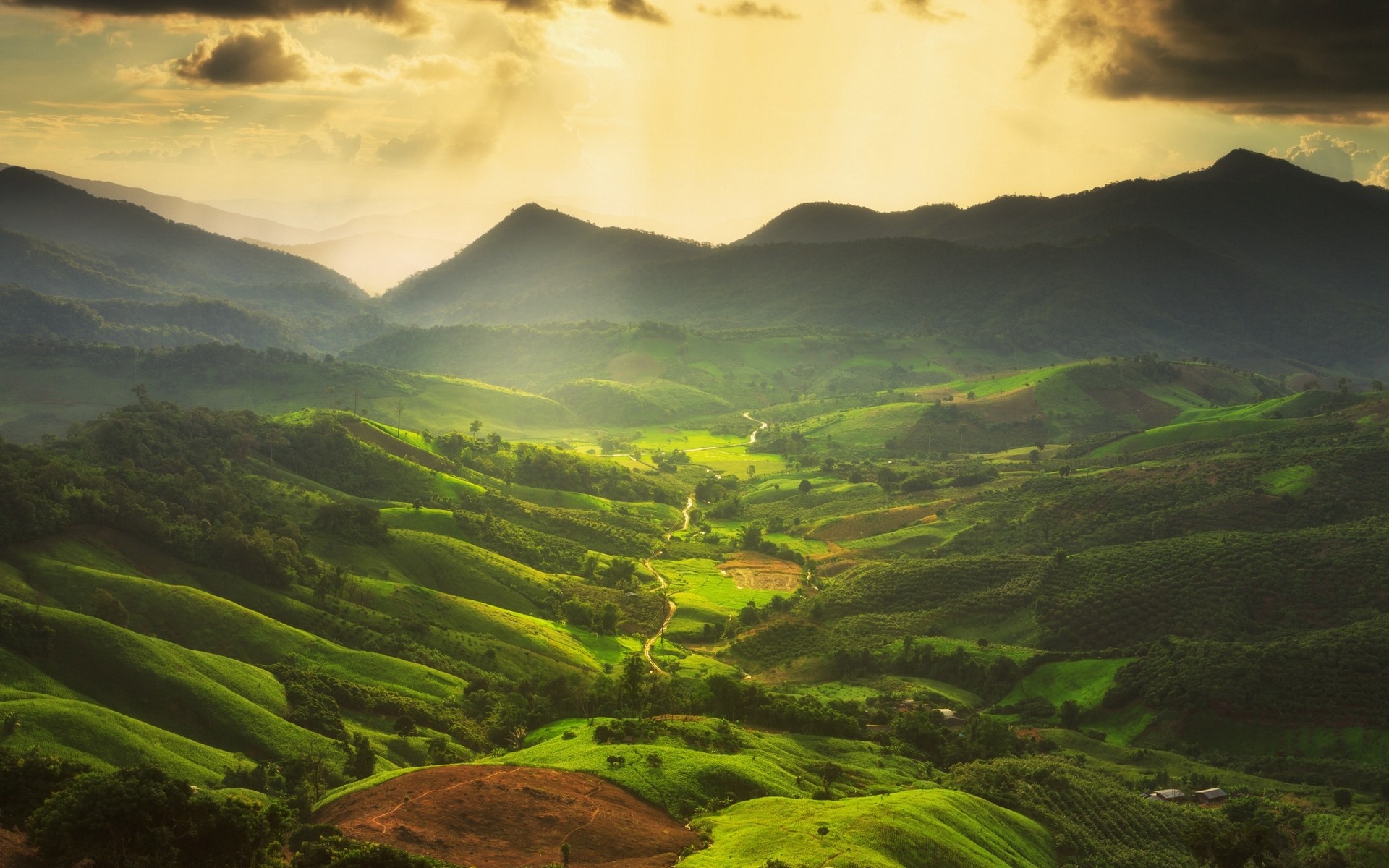 Wallpaper, sunlight, trees, landscape, forest, villages, nature, grass, sky, field, clouds, sunrise, green, morning, mist, atmosphere, national park, valley, wilderness, jungle, mount scenery, plateau, Lake District, mountain, dawn, grassland