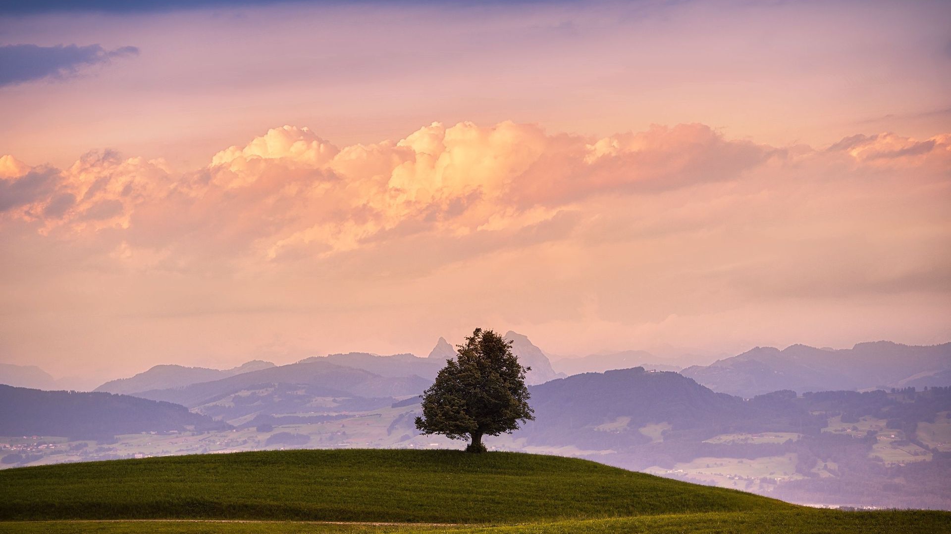 Lone Tree Hills Pink Sky desktop PC and Mac wallpaper