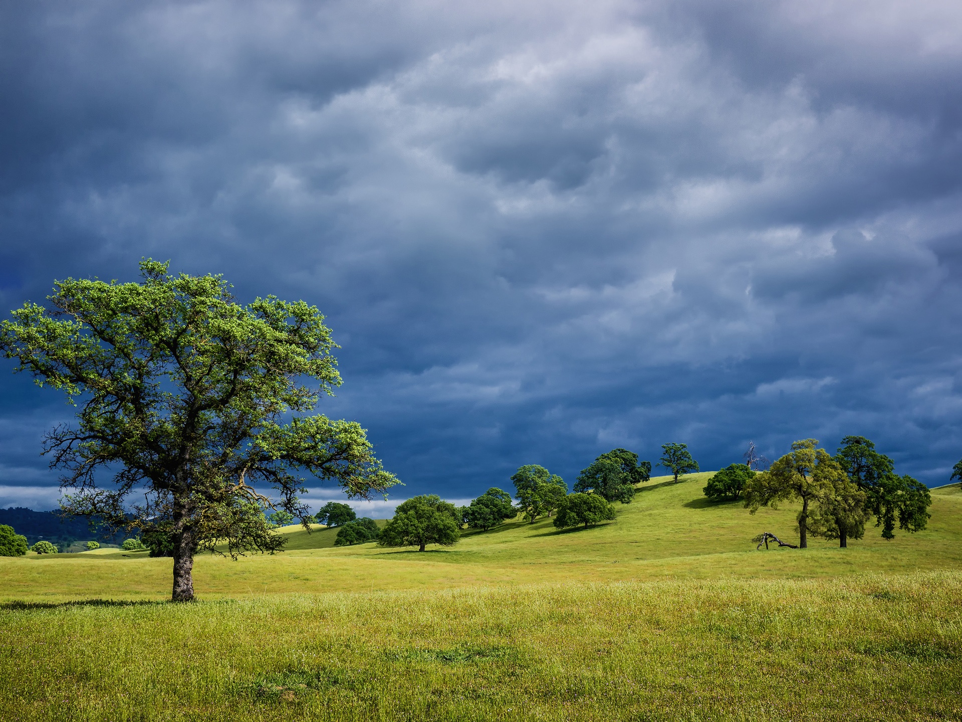 Wallpaper Spring nature landscape, USA California, hills, grass, trees, cloudy 1920x1440 HD Picture, Image