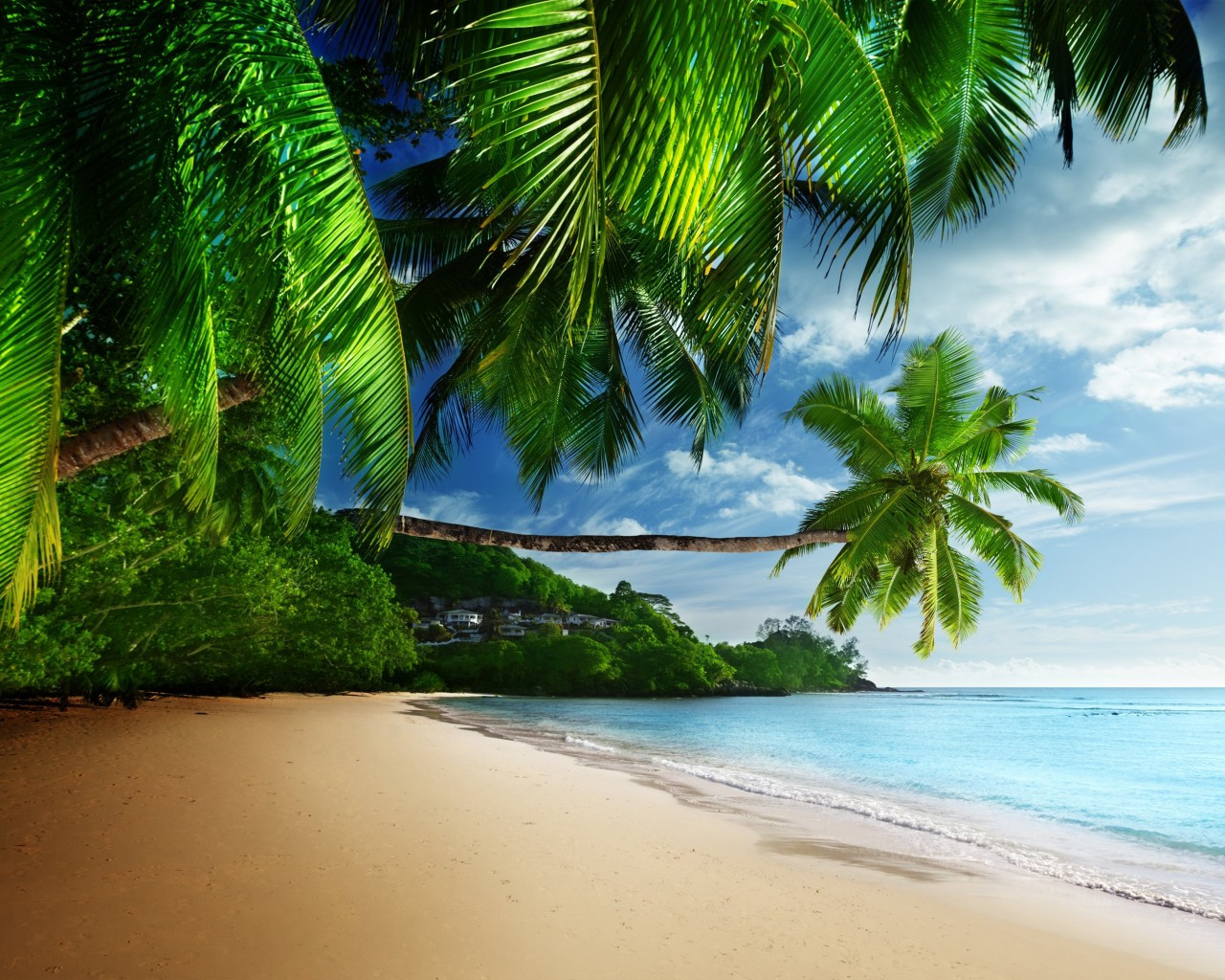 Download 1280x1024 Beach, Palm, Coast, Ocean, Waves, Sand, Tropical Wallpaper