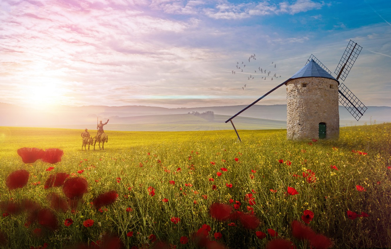 Wallpaper field, flowers, Maki, mill, riders, Don Quixote, Sancho Panza image for desktop, section рендеринг