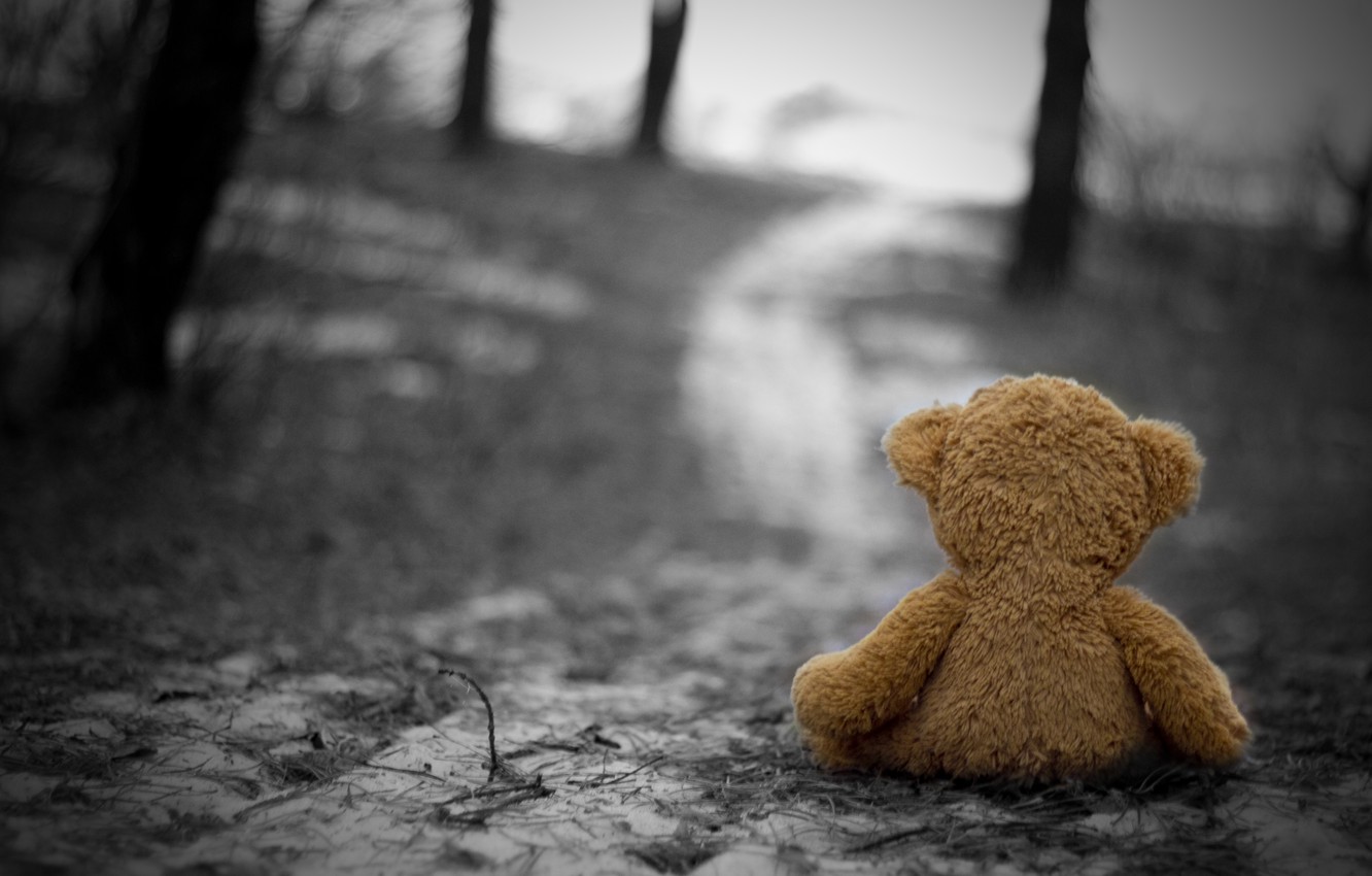 Wallpaper cold, sadness, autumn, loneliness, sadness, Toy, nostalgia image for desktop, section настроения