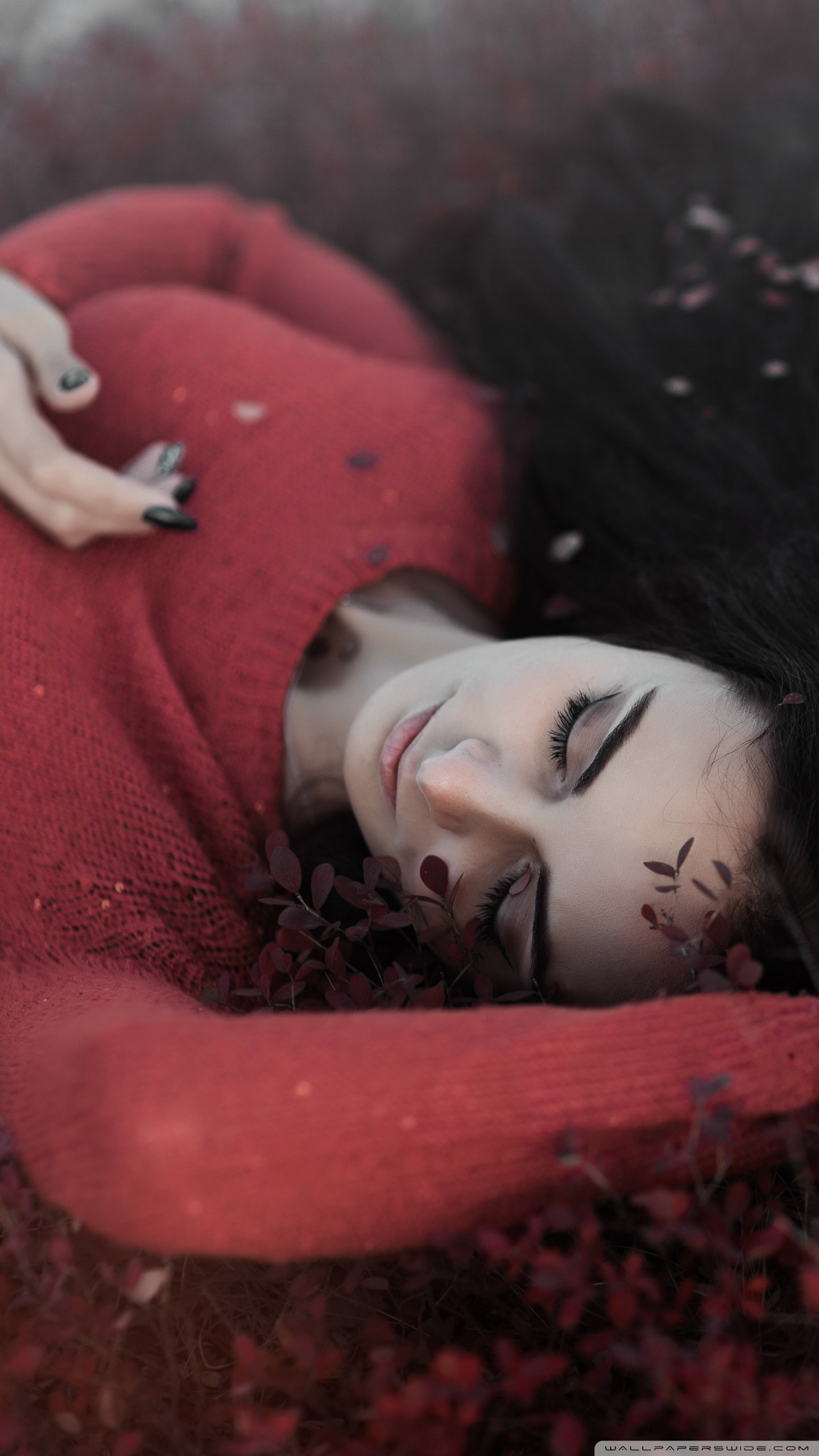 Autumn Nostalgia Ultra HD Desktop Background Wallpaper for 4K UHD TV, Widescreen & UltraWide Desktop & Laptop, Multi Display, Dual & Triple Monitor, Tablet