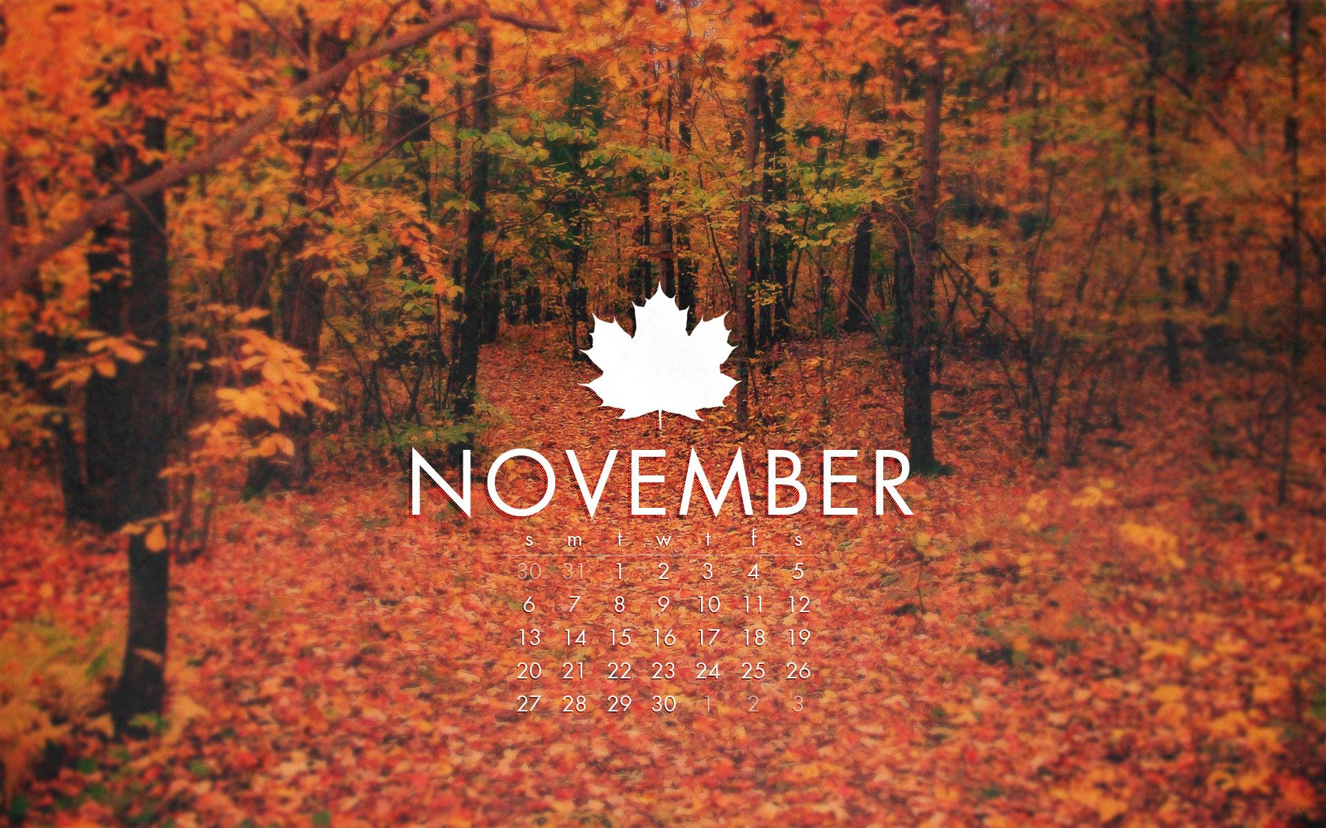 November Nature Wallpaper