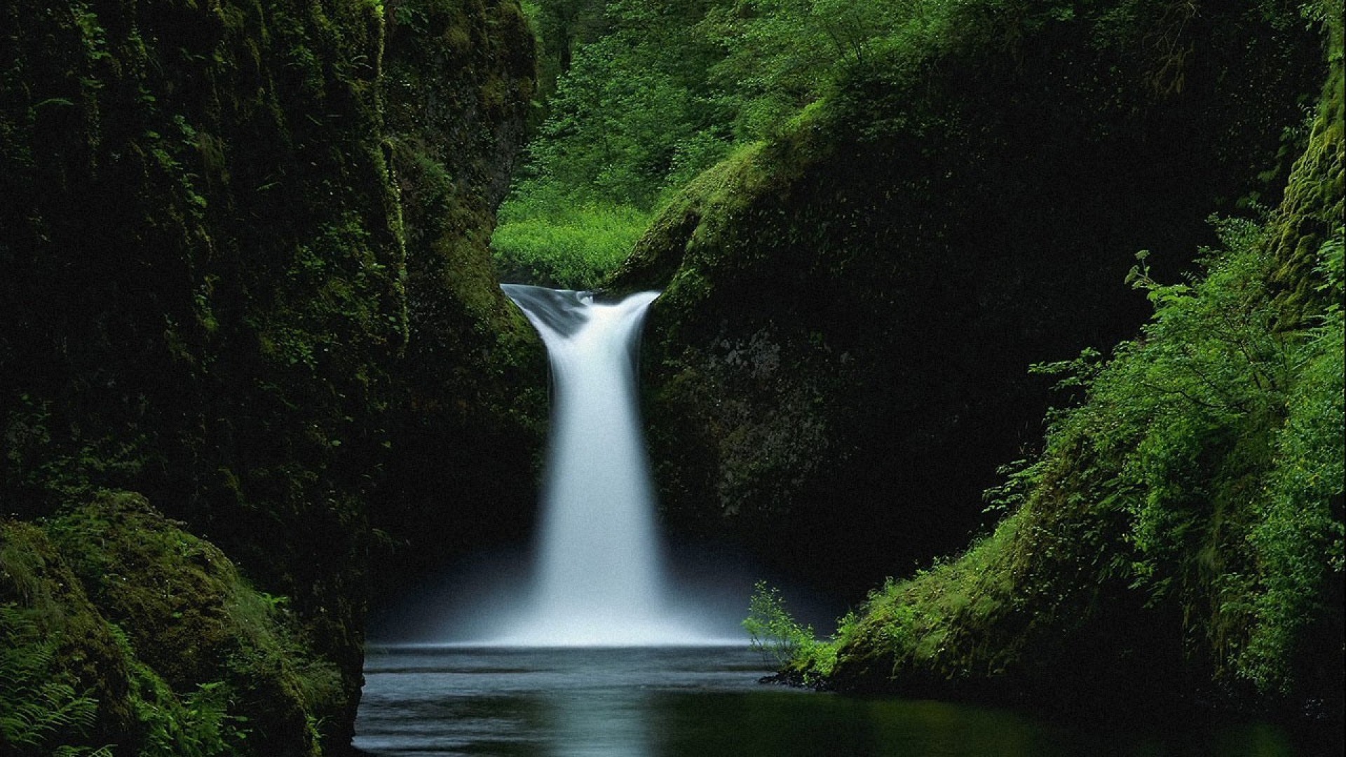 Discover In The Forest Stillwater Waterfall Image Free Download