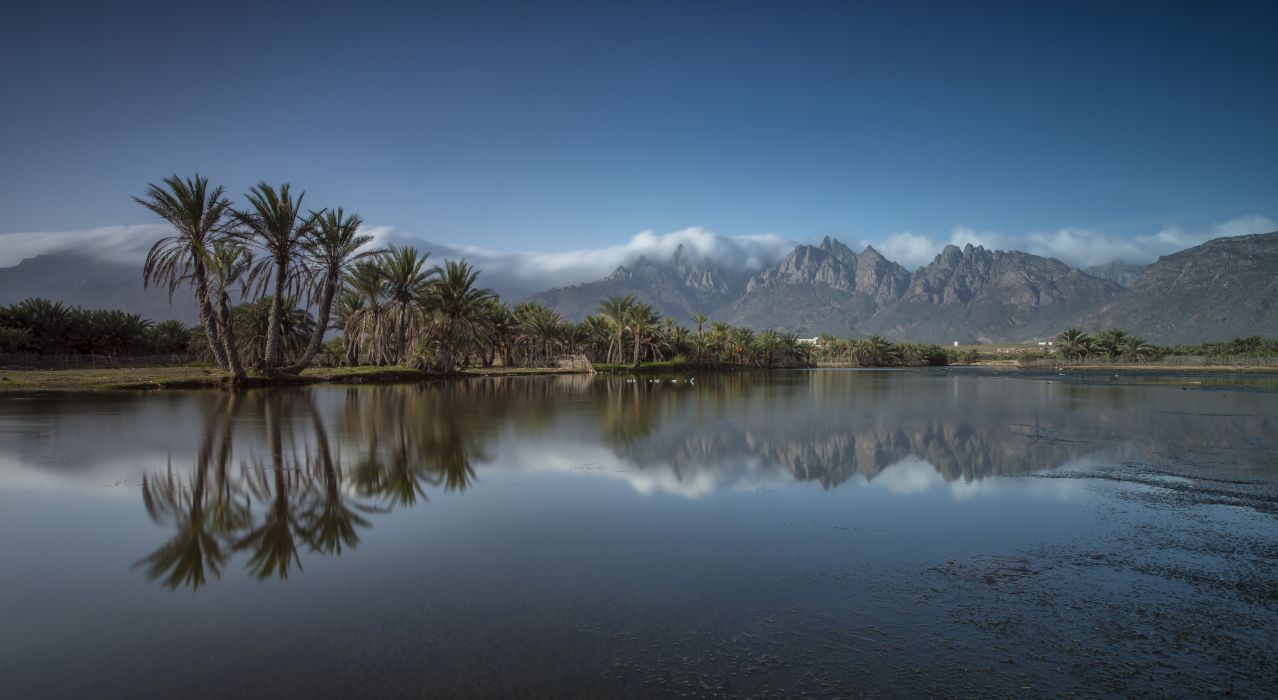 Socotra Island Yemen Mountain Palm Island Fog Landmark Landscape Reflection wallpaperx4030