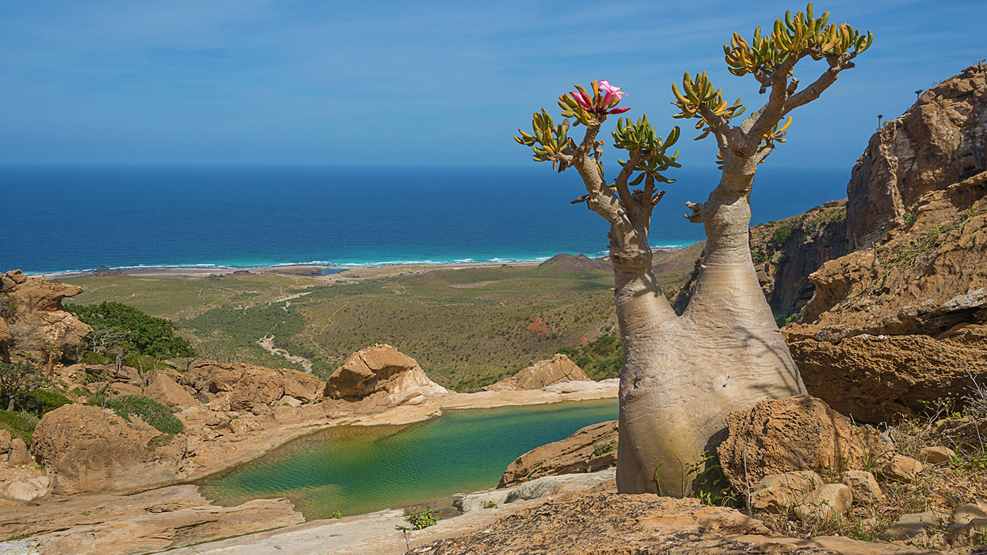 Socotra Wallpapers - Wallpaper Cave