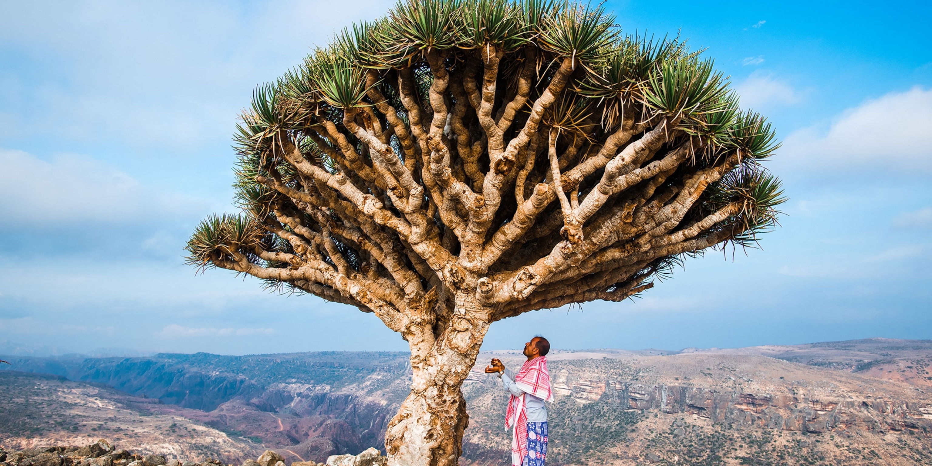 Socotra Wallpapers - Wallpaper Cave