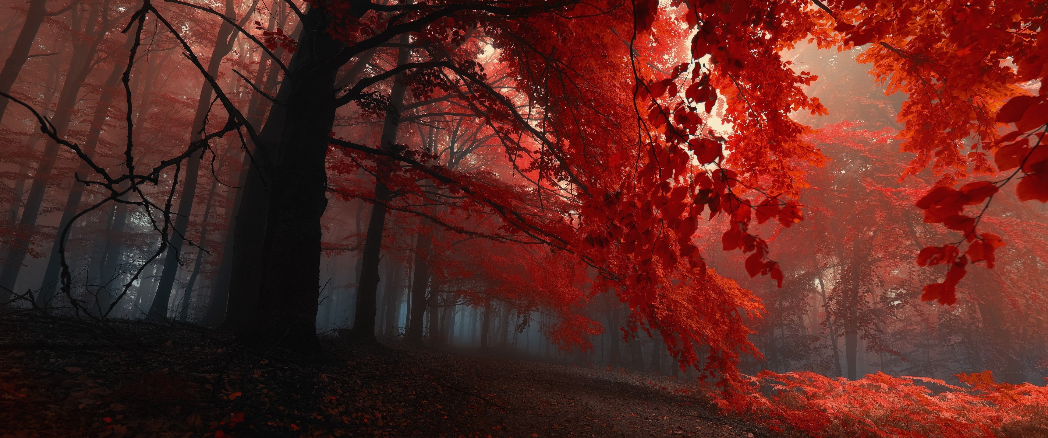Silent Autumn [3440x1440]: WidescreenWallpaper