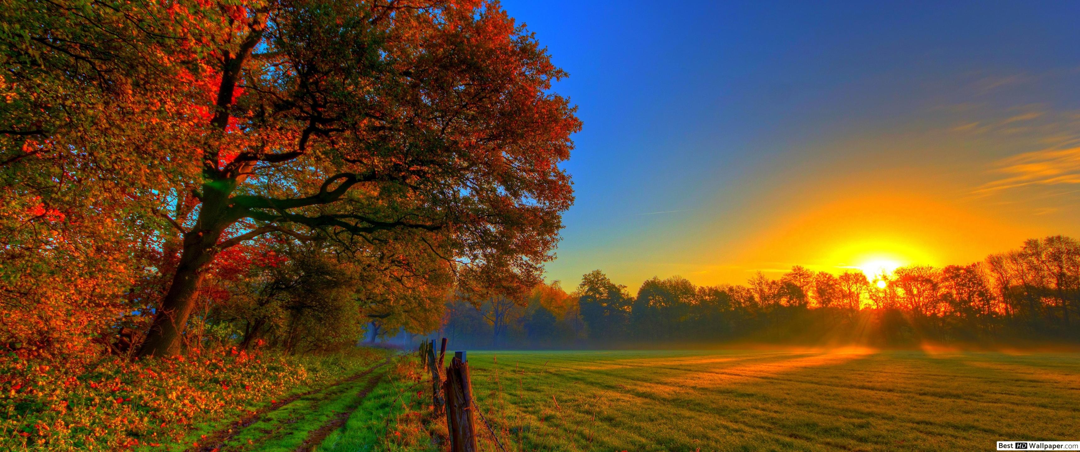 Autumn and sunset HD wallpaper download