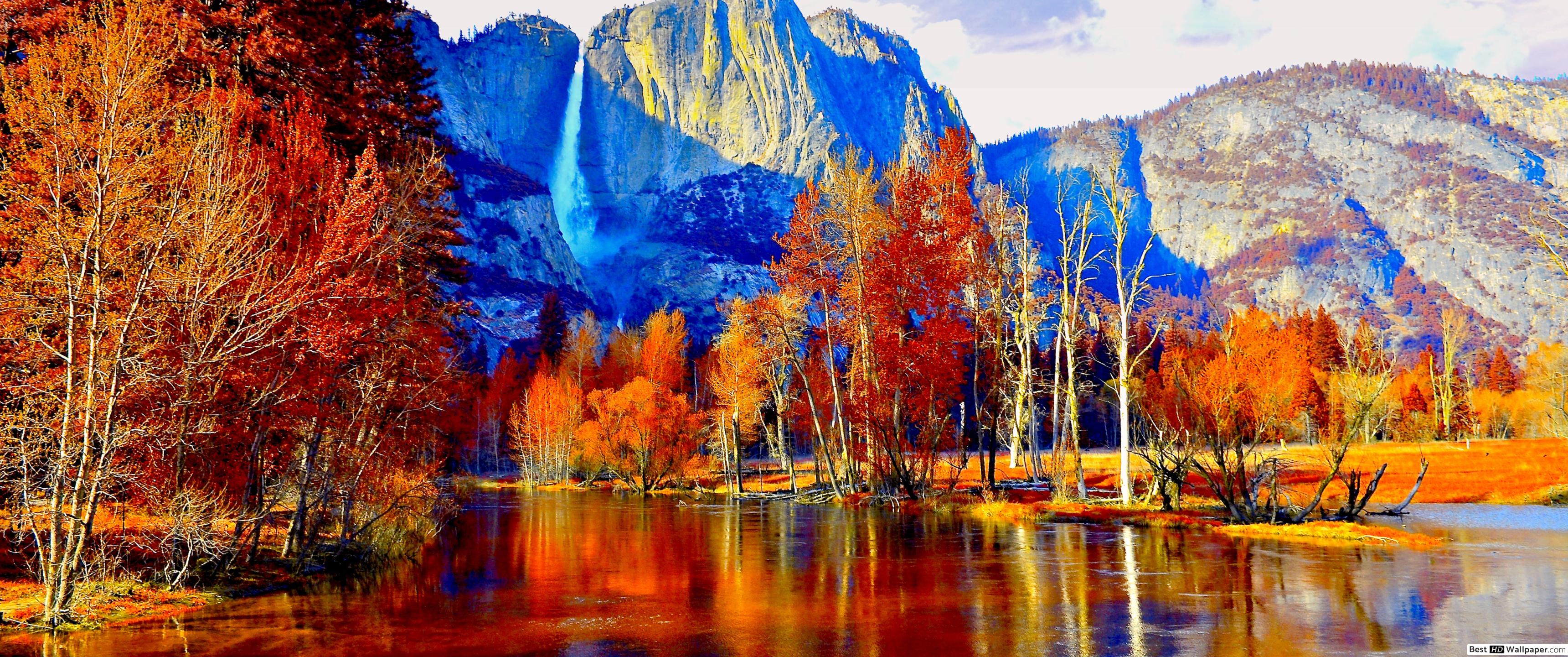 Autumn Trees in the Mountains HD wallpaper download