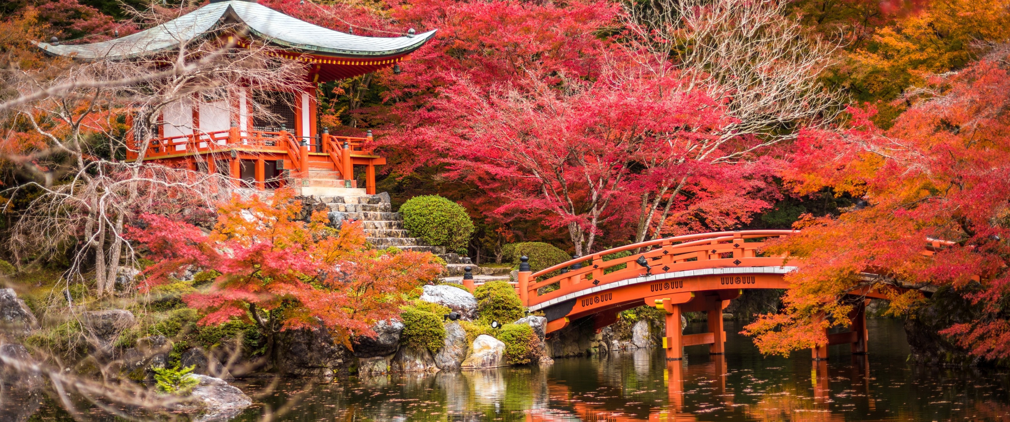 Download 3440x1440 Japan, Shrine, Pagoda, Bridge, Stream, Foliage, Park, Autumn Wallpaper