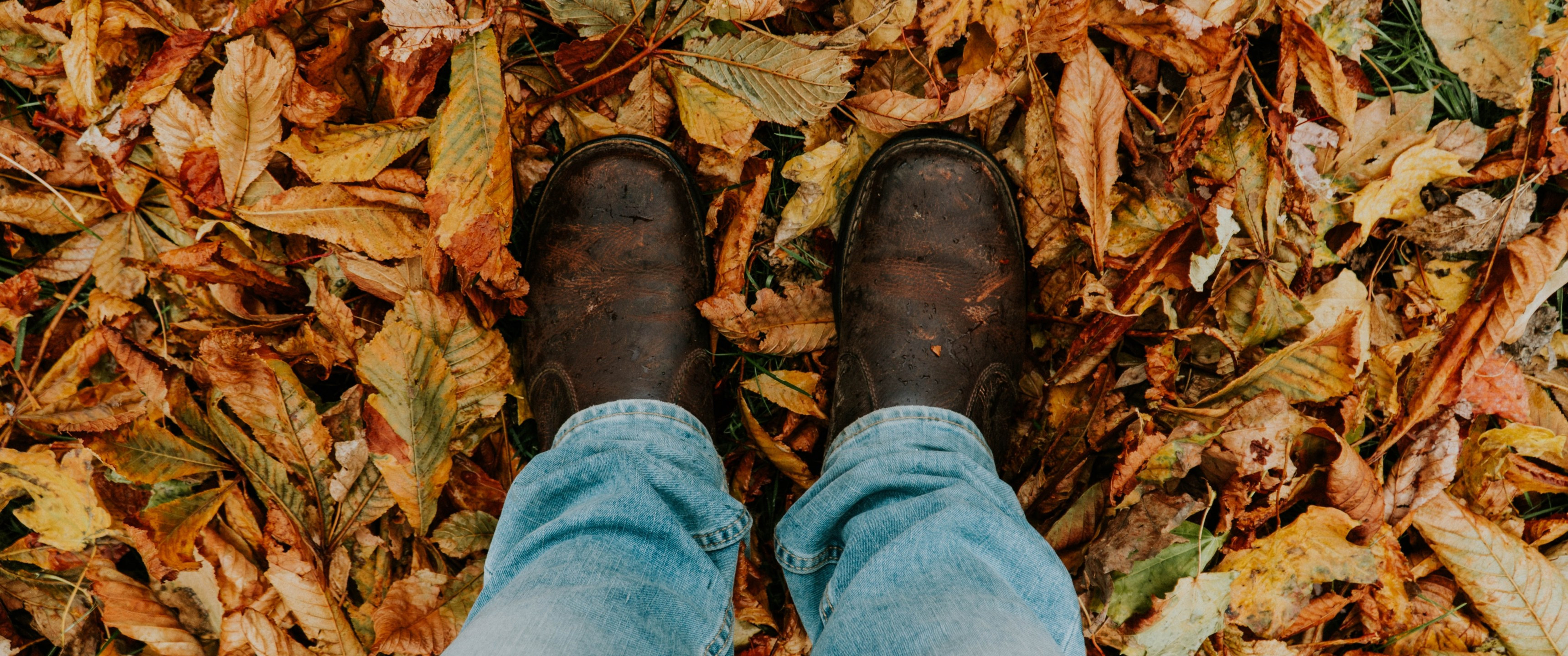 Download 3440x1440 Autumn, Leaves, Shoes, Fall Wallpaper