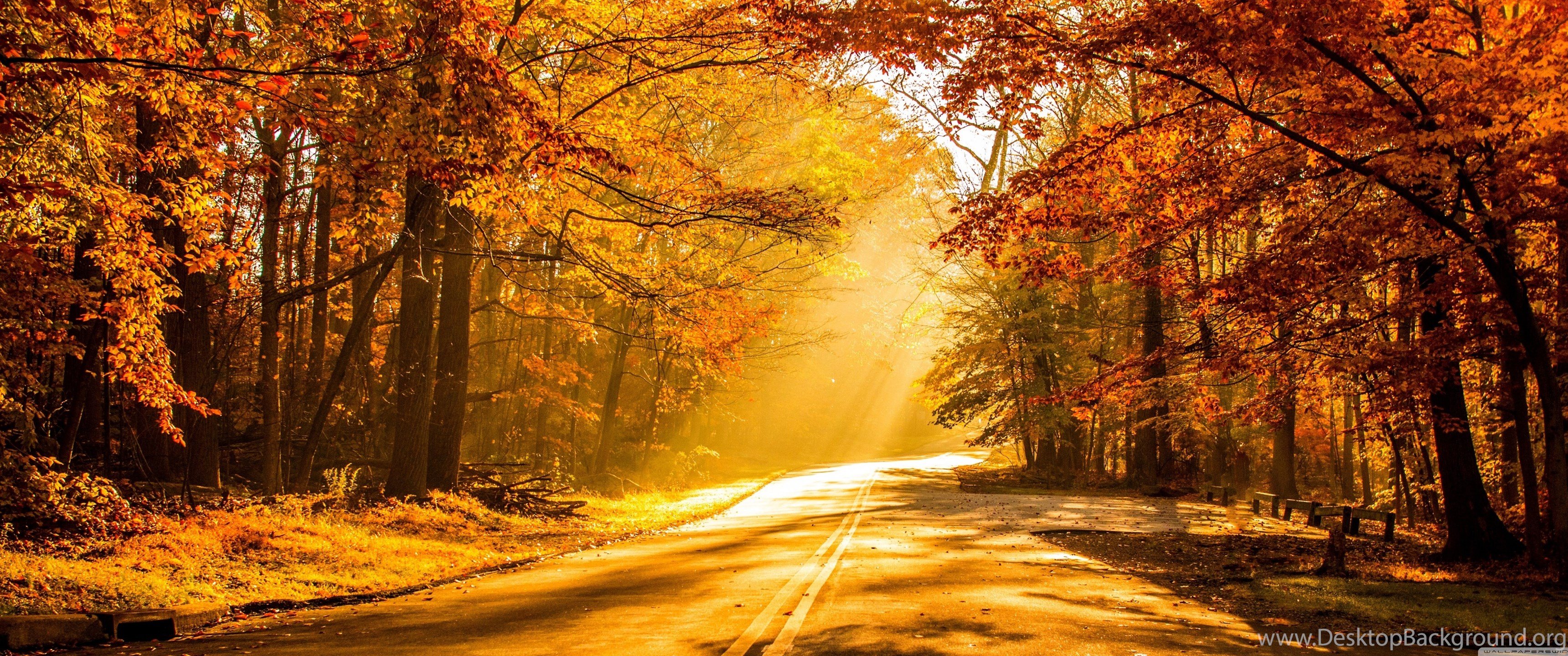 Autumn 3440x1440 Wallpapers Wallpaper Cave