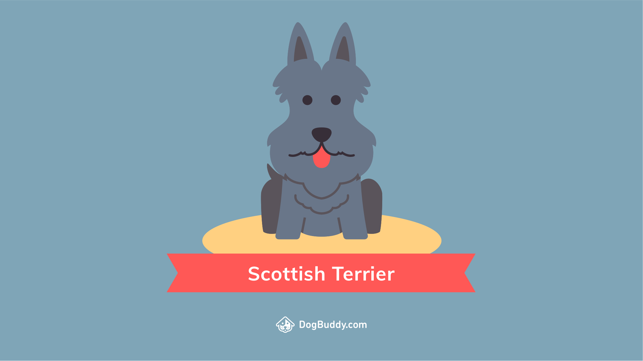 Woofpaper: Scottish Terrier