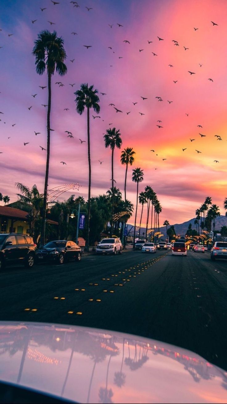 Best Law Of Attraction Books. Wallpaper iphone summer, Sunset wallpaper, Wallpaper vsco