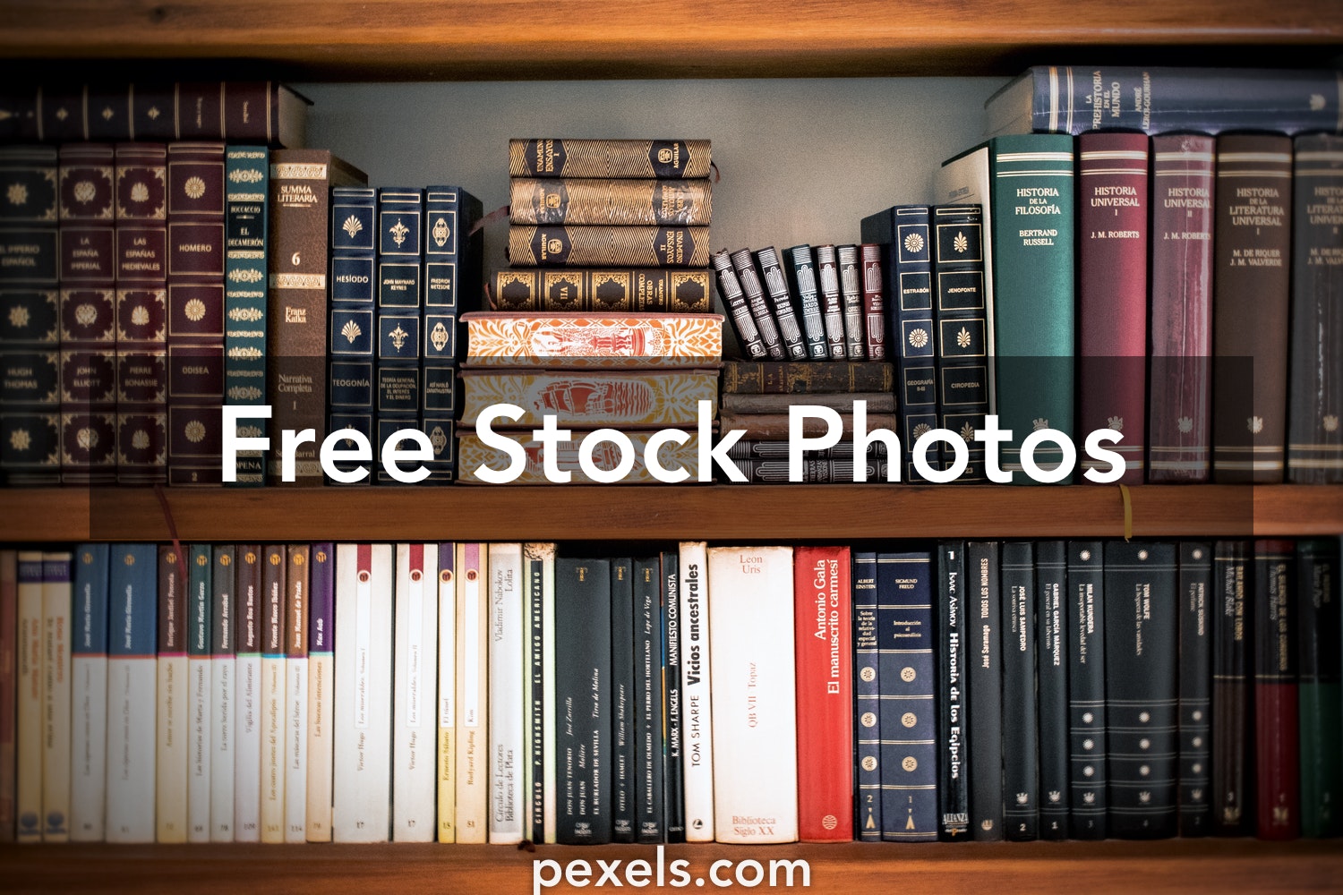 Best Law Firm Photo · 100% Free Downloads