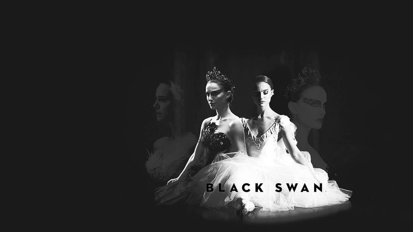Black Swan Wallpaper and Background Imagex810