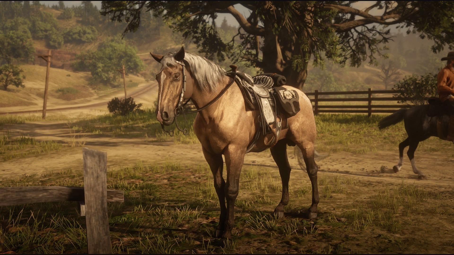 Wish we could get more horse breeds with the buckskin coat.: reddeadredemption