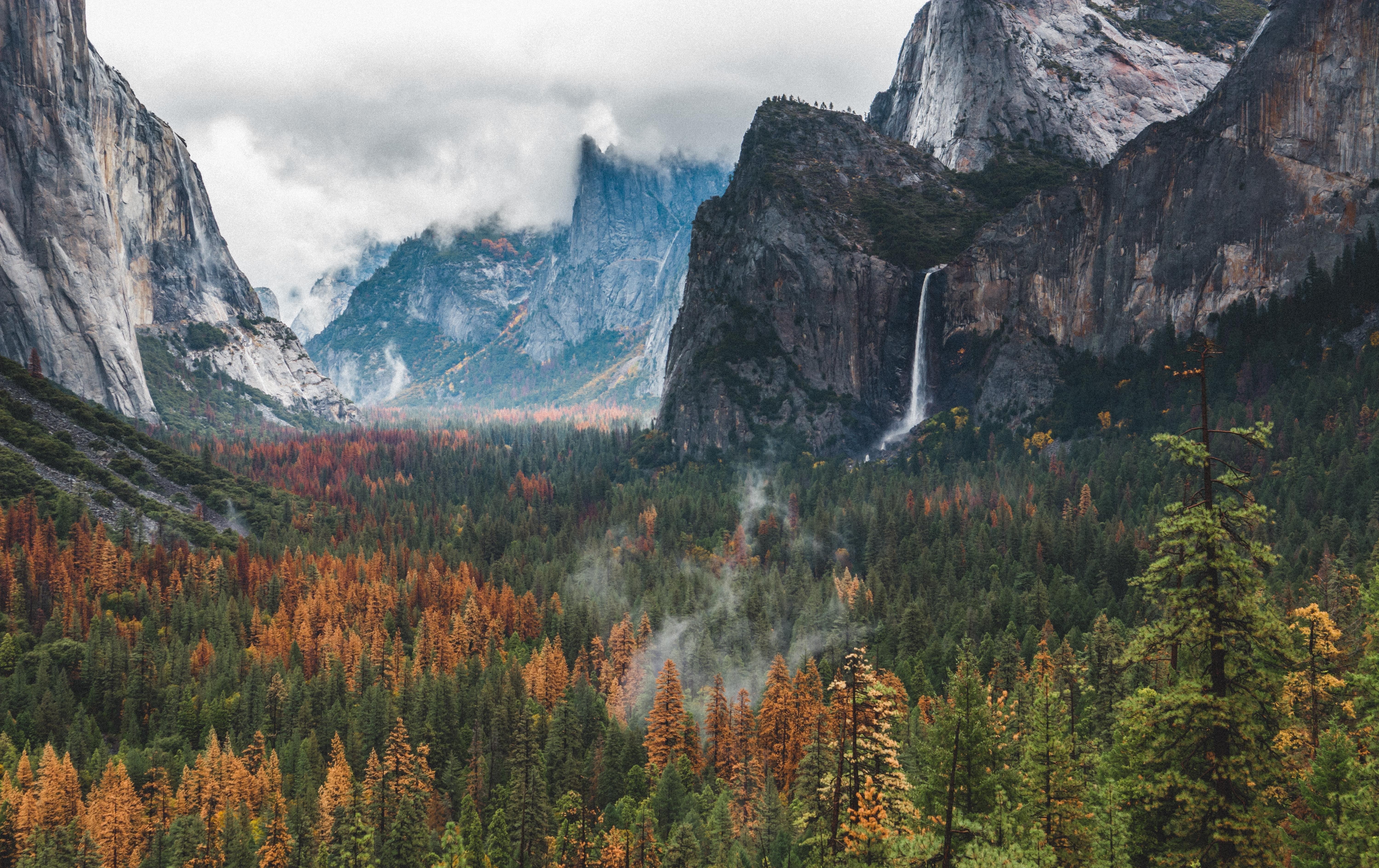 Wallpaper, landscape, forest, mountains, nature, Yosemite National Park, national park, valley, wilderness, Yosemite Valley, Alps, plateau, ridge, tree, autumn, season, atmospheric phenomenon, mountainous landforms, landform, geographical feature