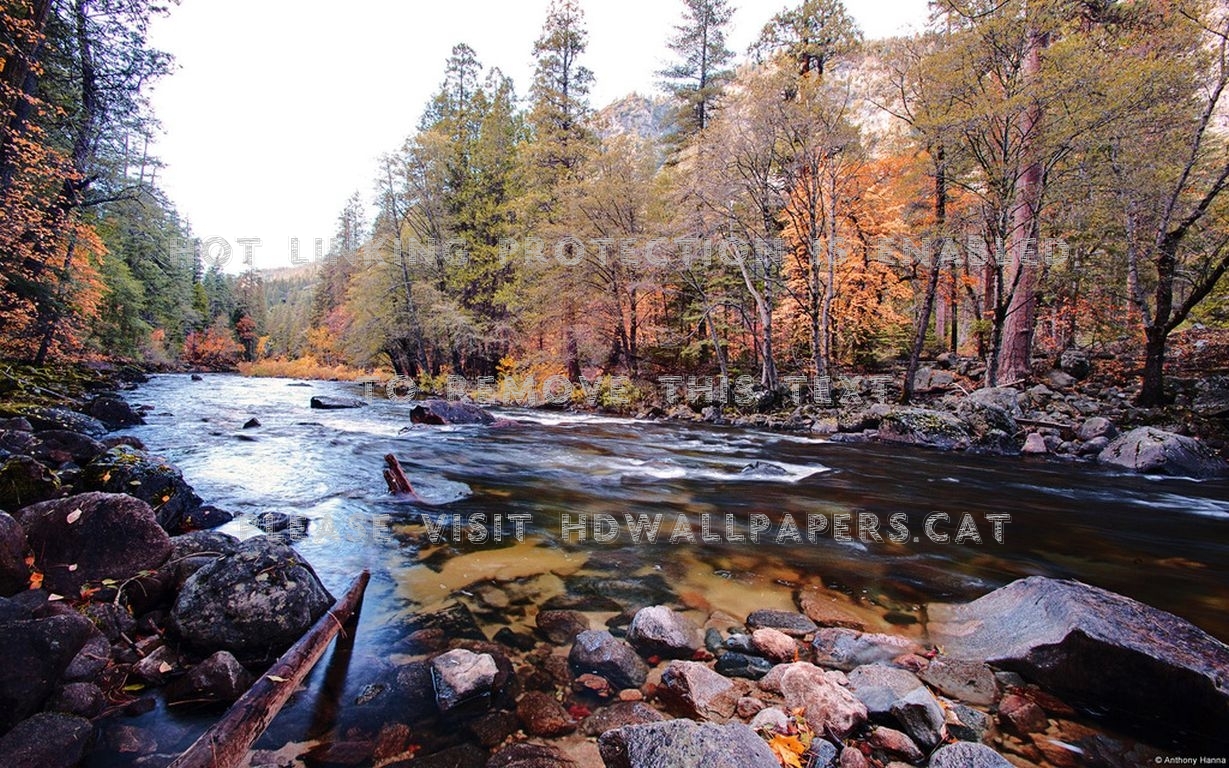 yosemite national park autumn rock stream
