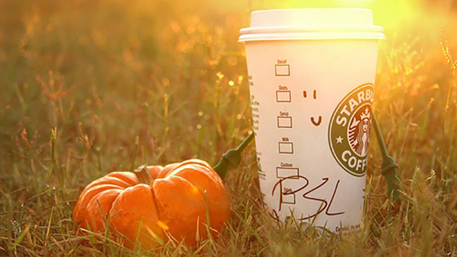 Ways to Get into the Fall Spirit