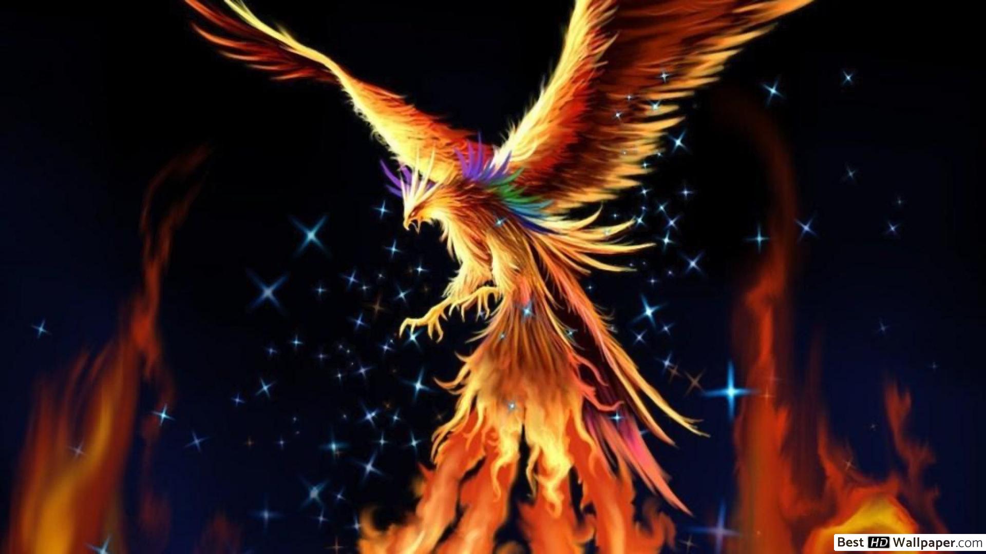 Fire Phoenix HD wallpaper download