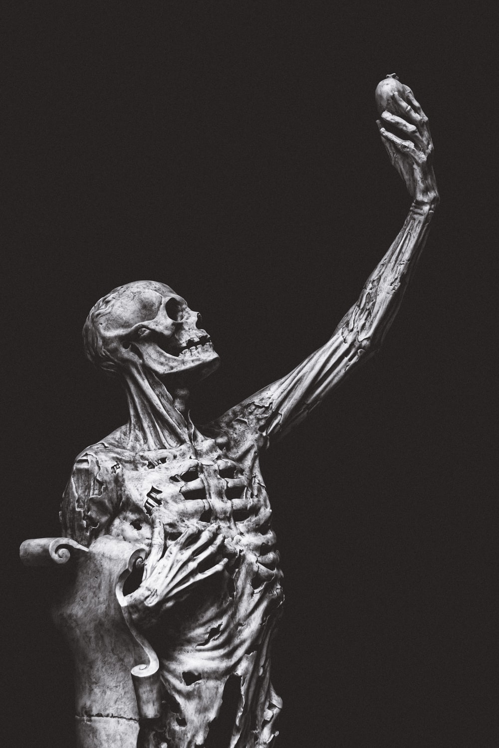 Skeleton  Couple Skeleton Wallpaper Download  MobCup